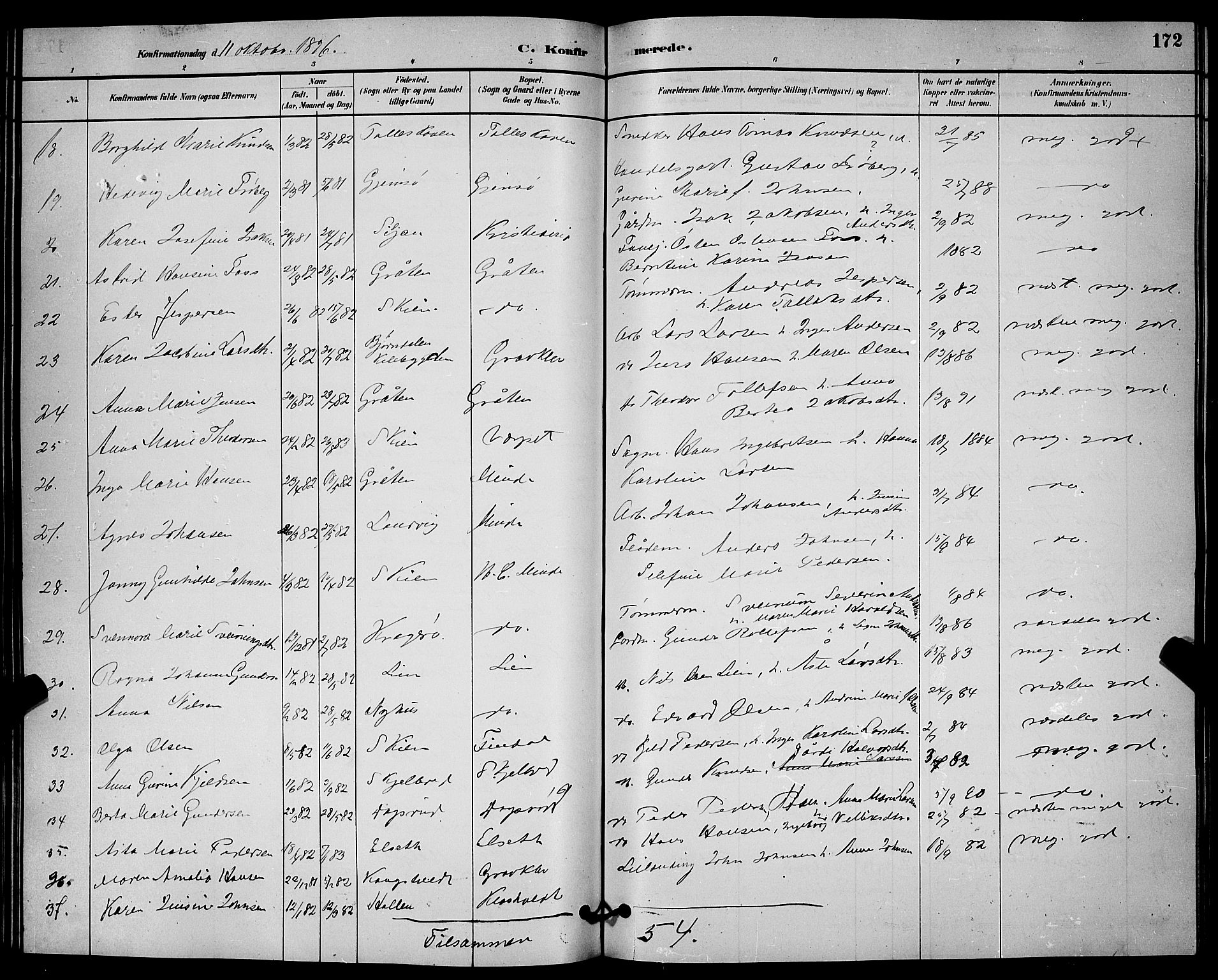 Solum kirkebøker, SAKO/A-306/G/Ga/L0007: Parish register (copy) no. I 7, 1884-1898, p. 172