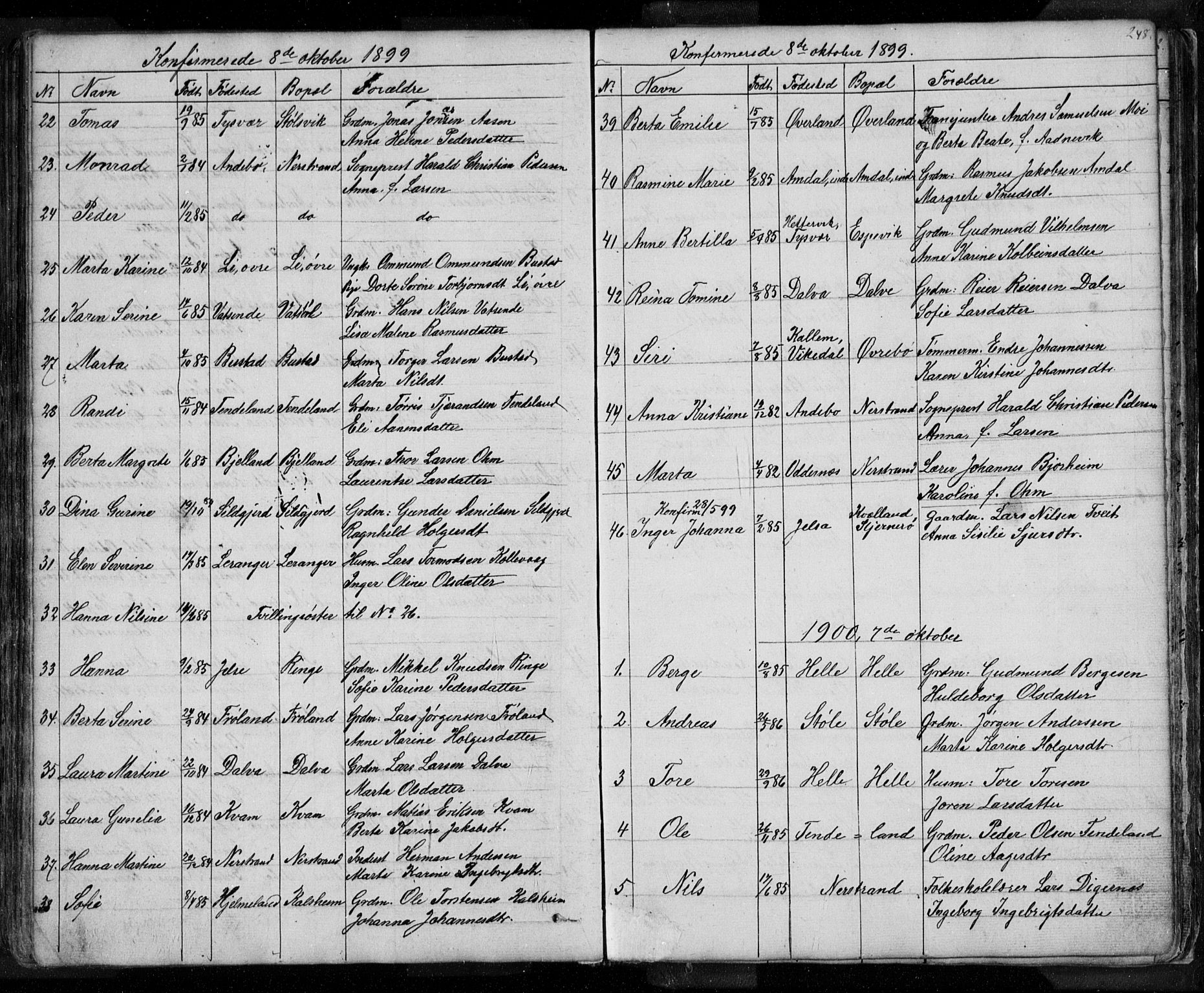Nedstrand sokneprestkontor, SAST/A-101841/01/V: Parish register (copy) no. B 3, 1848-1933, p. 248