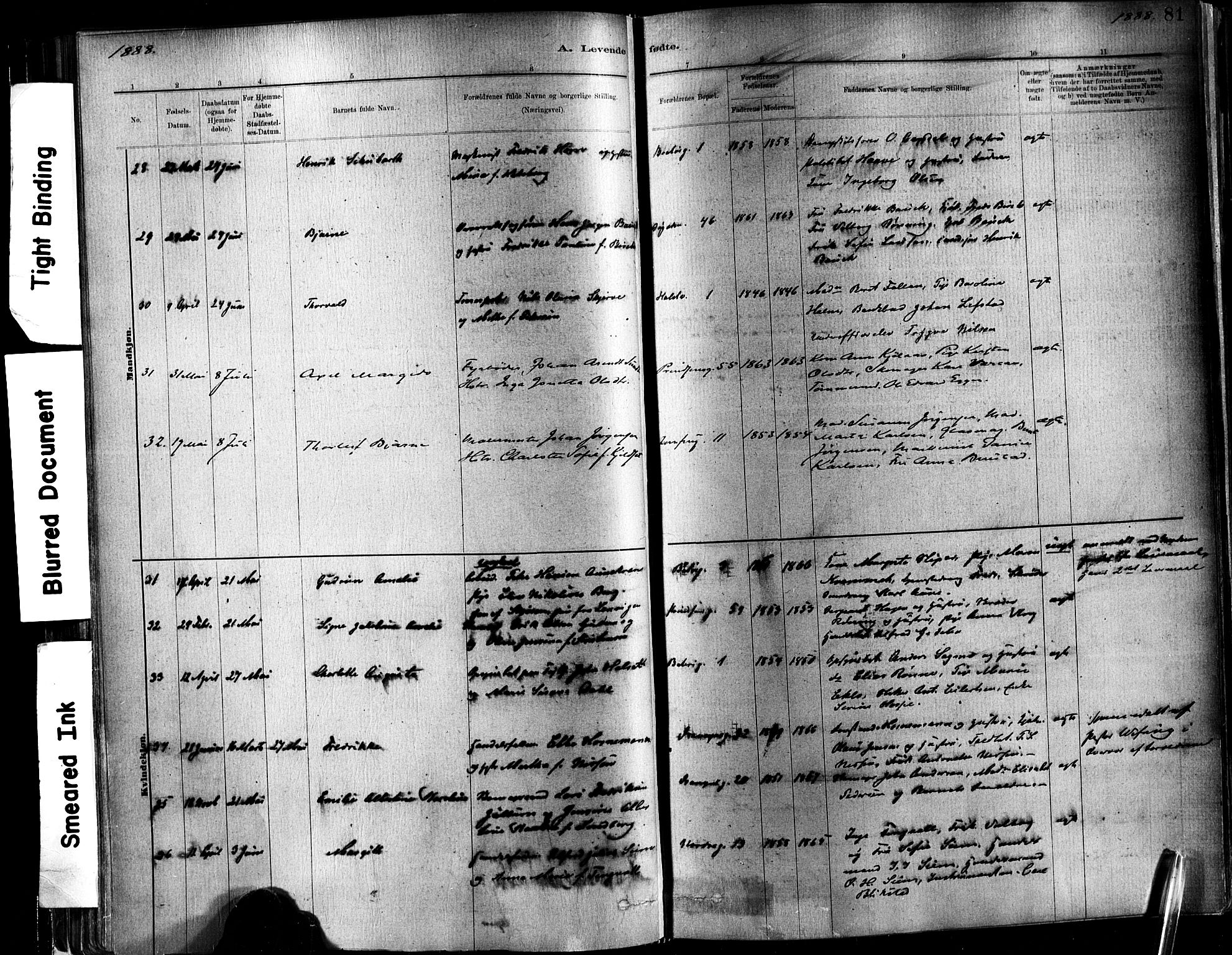 Ministerialprotokoller, klokkerbøker og fødselsregistre - Sør-Trøndelag, SAT/A-1456/602/L0119: Parish register (official) no. 602A17, 1880-1901, p. 81