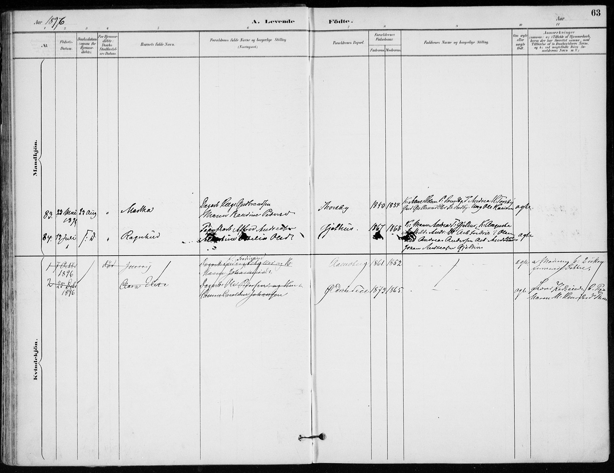 Modum kirkebøker, AV/SAKO-A-234/F/Fa/L0012: Parish register (official) no. 12, 1890-1898, p. 63