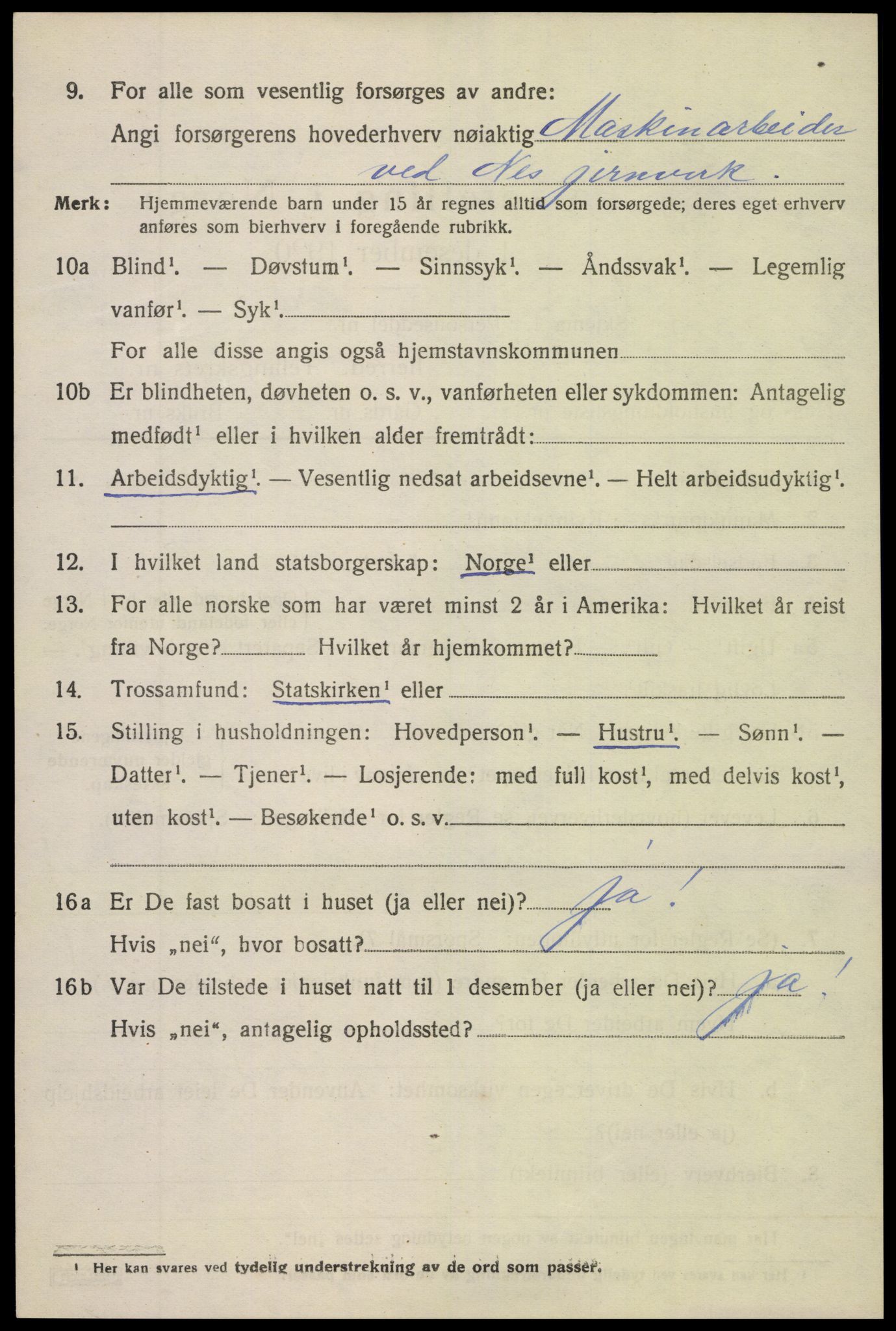 SAK, 1920 census for Holt, 1920, p. 4851