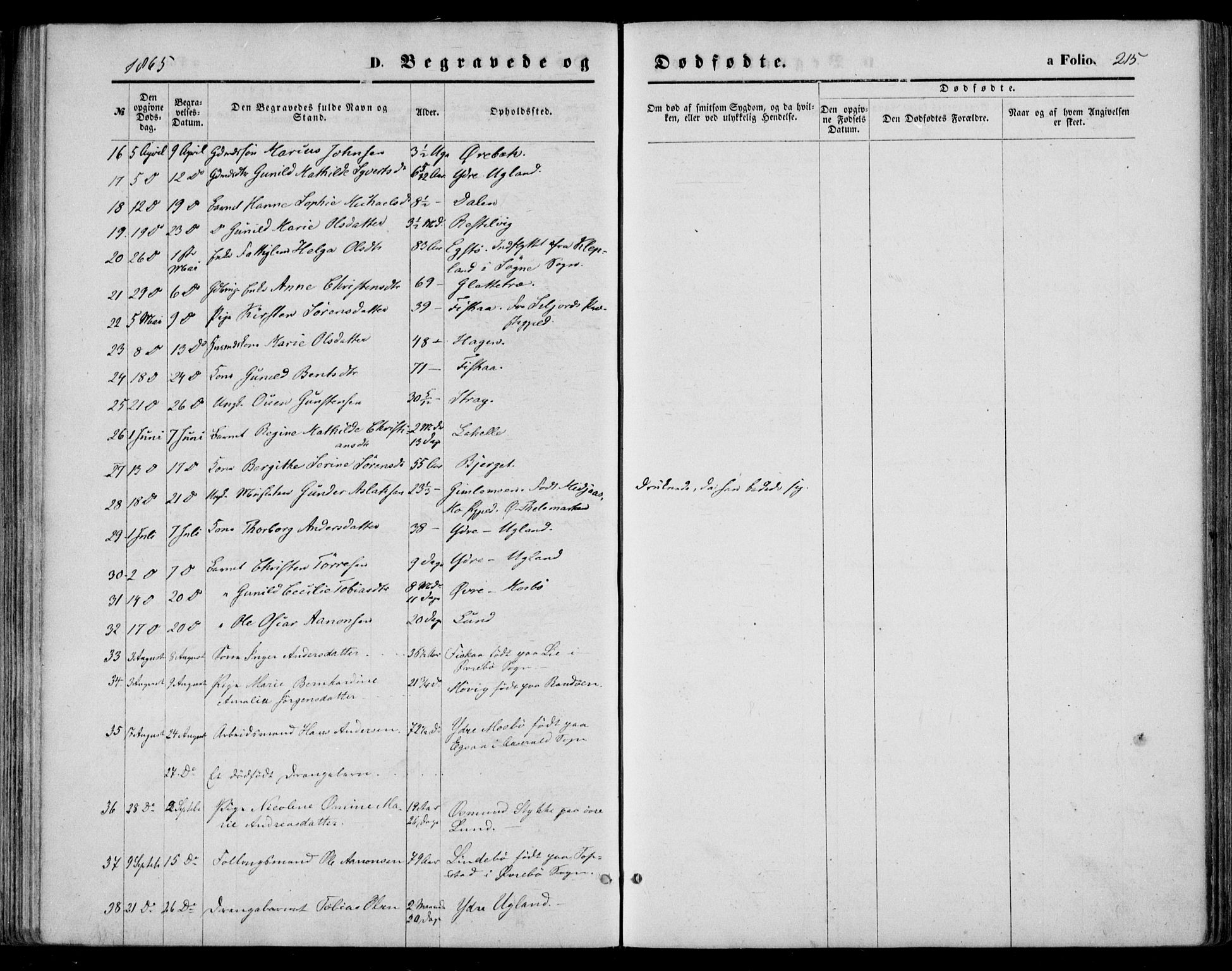 Oddernes sokneprestkontor, AV/SAK-1111-0033/F/Fa/Faa/L0008: Parish register (official) no. A 8, 1864-1880, p. 215