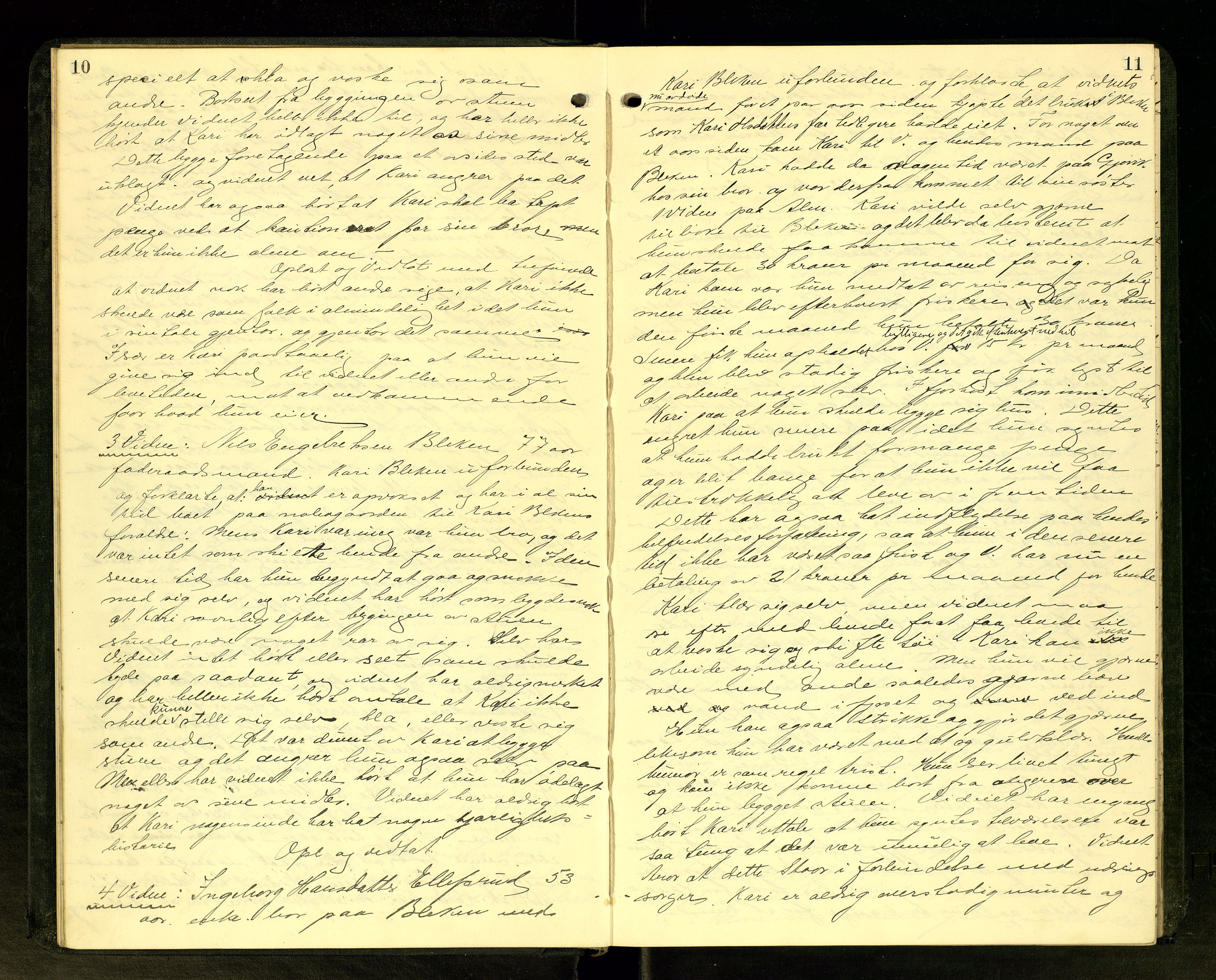 Hadeland og Land tingrett, AV/SAH-TING-010/G/Gc/L0047: Ekstrarettsprotokoll, 1912-1913, p. 10-11