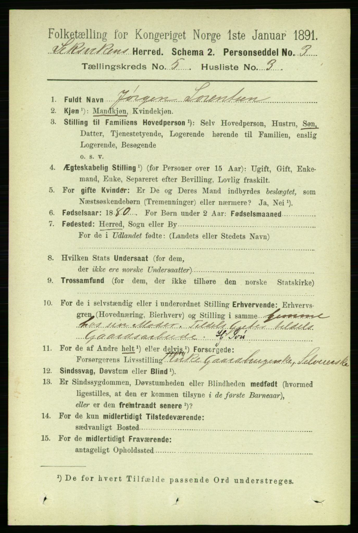 RA, 1891 census for 1718 Leksvik, 1891, p. 2558