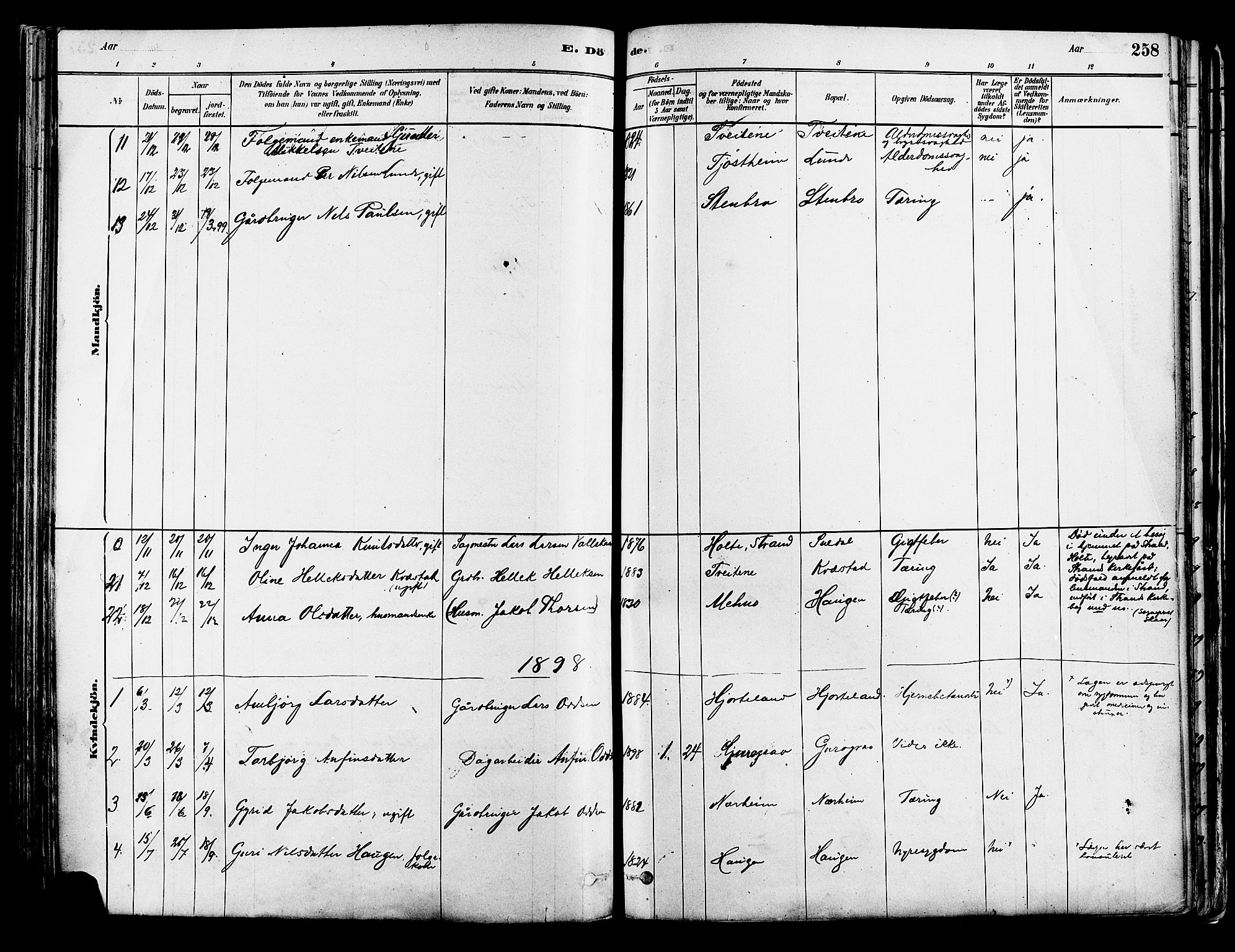 Suldal sokneprestkontor, AV/SAST-A-101845/01/IV/L0011: Parish register (official) no. A 11, 1878-1900, p. 258