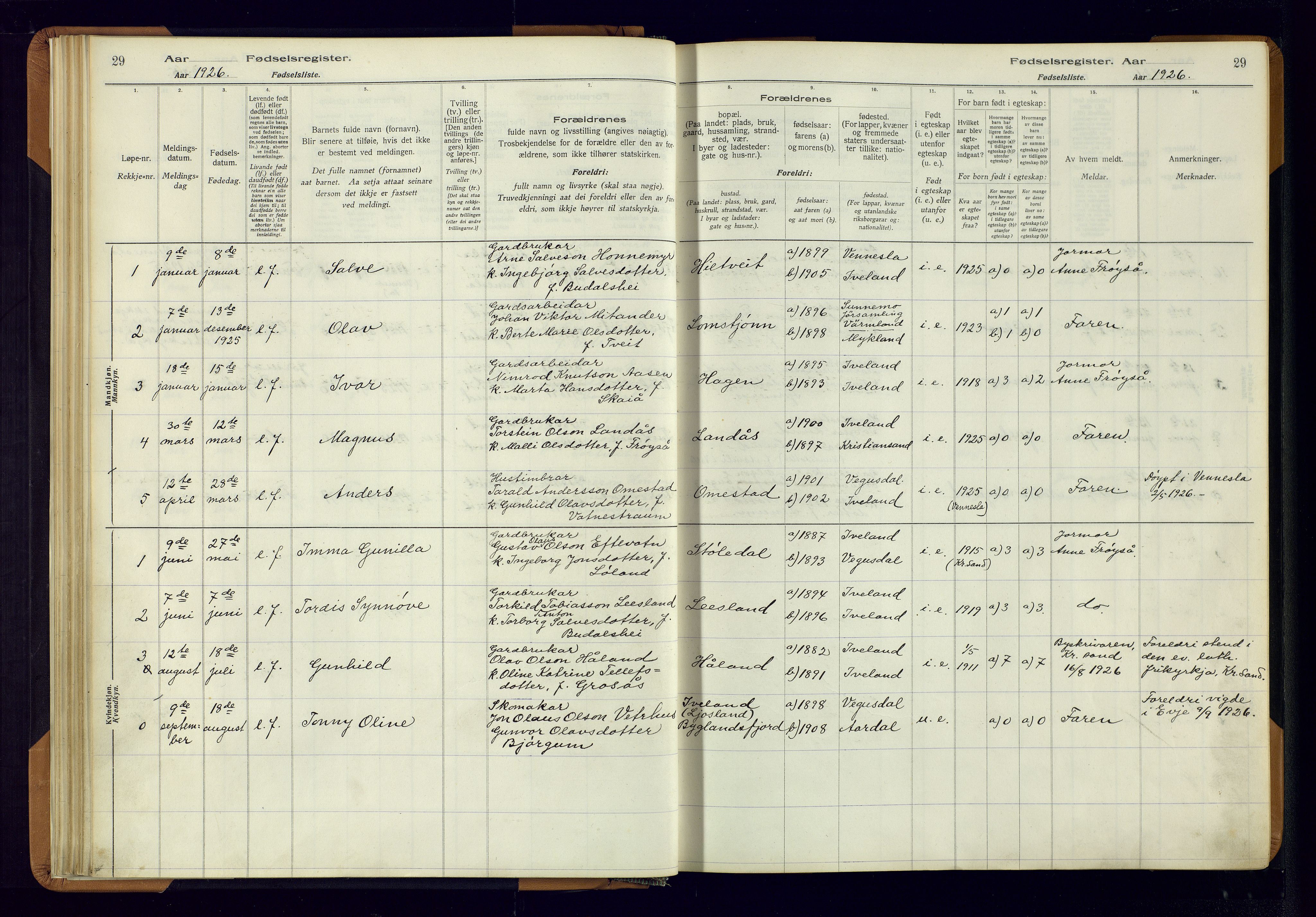 Evje sokneprestkontor, AV/SAK-1111-0008/J/Jc/L0003: Birth register no. II.4.3, 1916-1982, p. 29