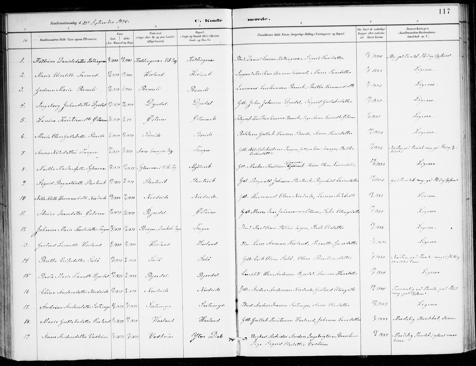 Lavik sokneprestembete, AV/SAB-A-80901: Parish register (official) no. C 1, 1882-1904, p. 117