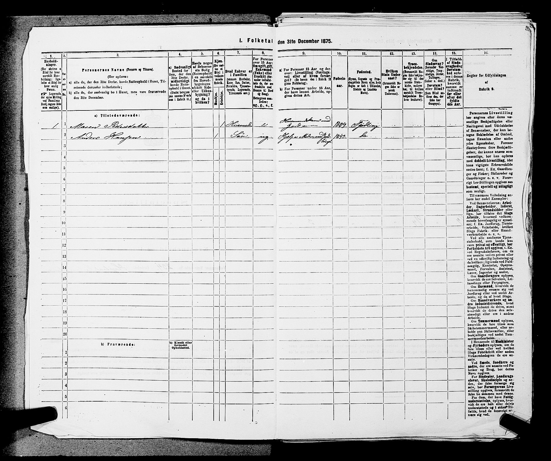 SAKO, 1875 census for 0725P Tjølling, 1875, p. 1246