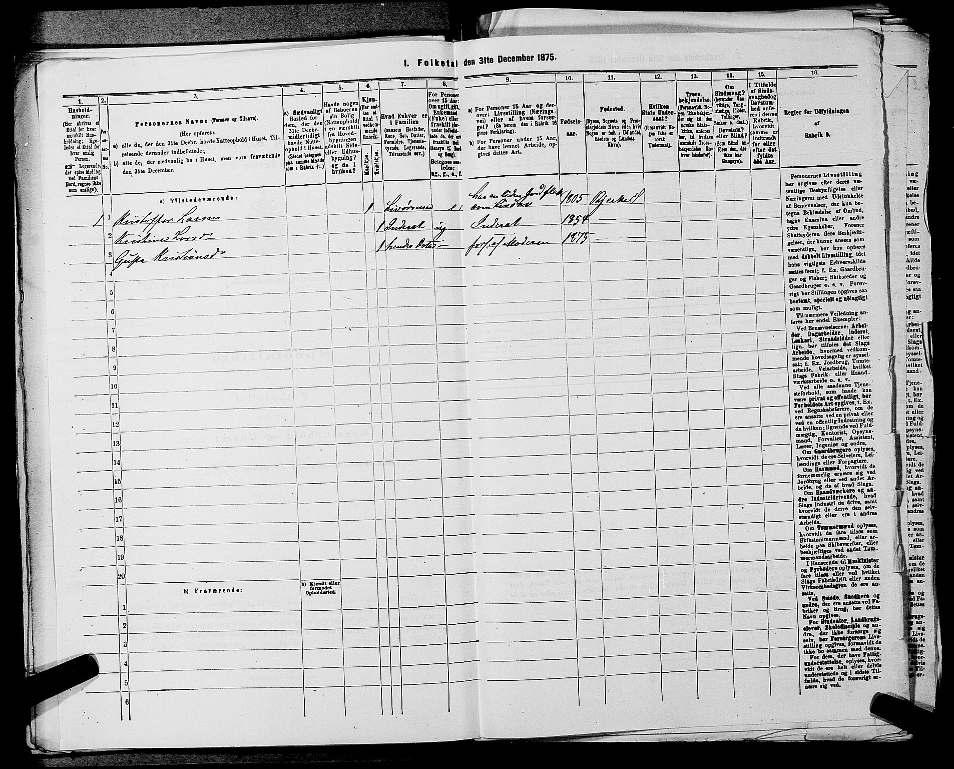 RA, 1875 census for 0238P Nannestad, 1875, p. 1245