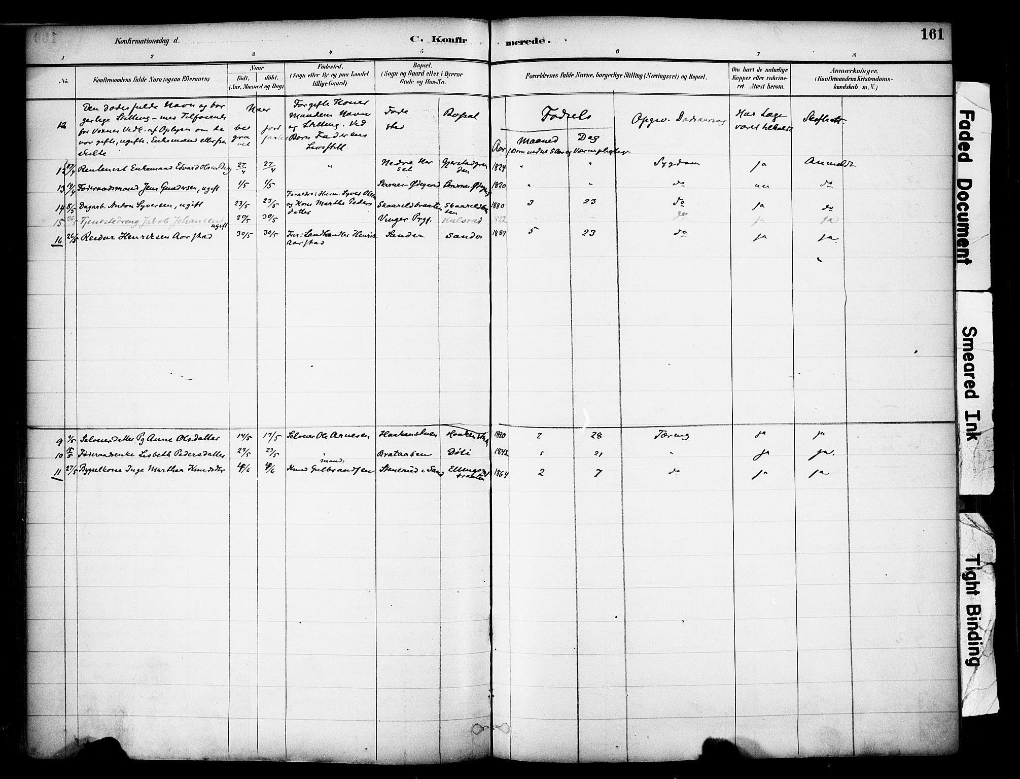 Sør-Odal prestekontor, SAH/PREST-030/H/Ha/Haa/L0007: Parish register (official) no. 7, 1886-1925, p. 161