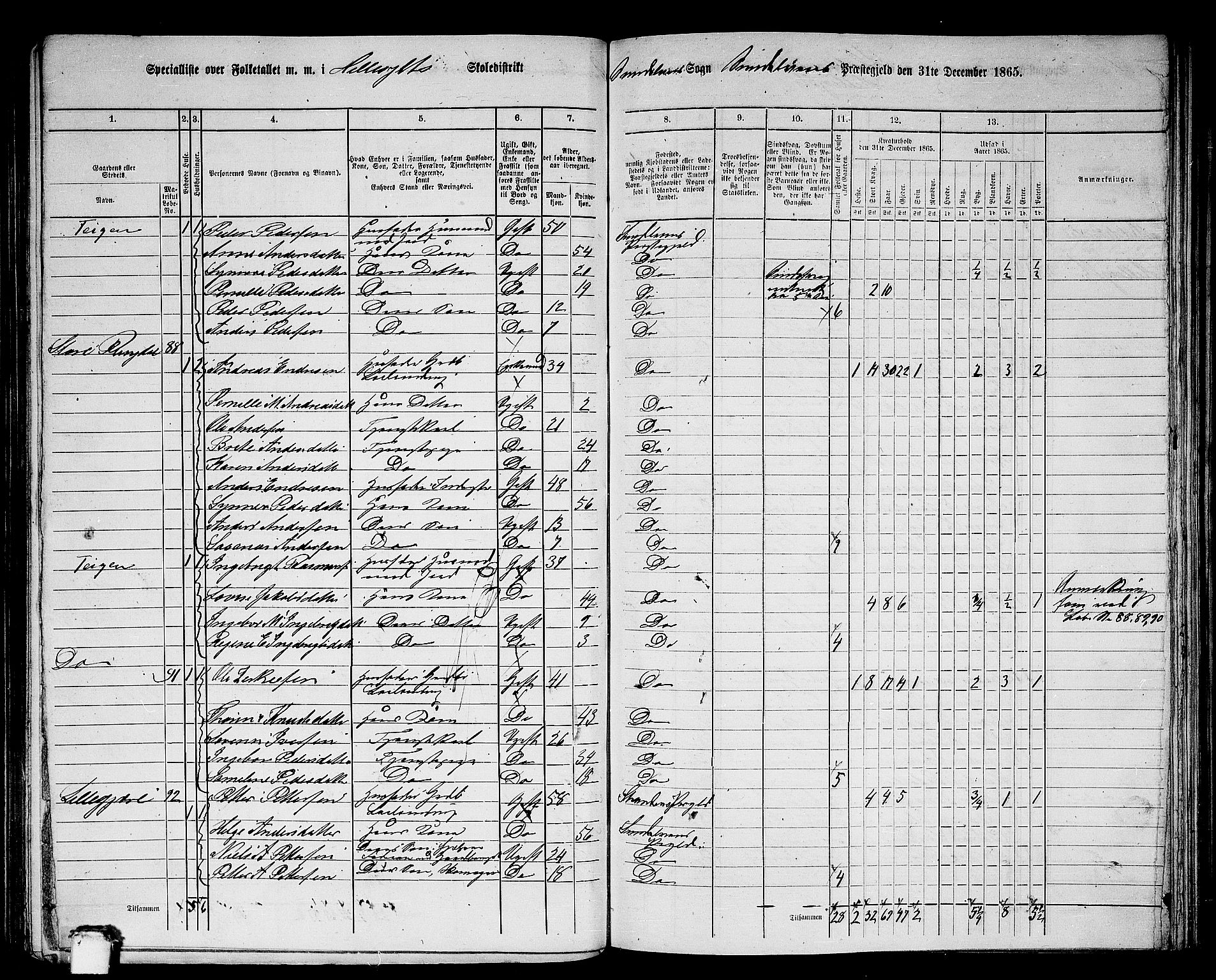 RA, 1865 census for Sunnylven, 1865, p. 8