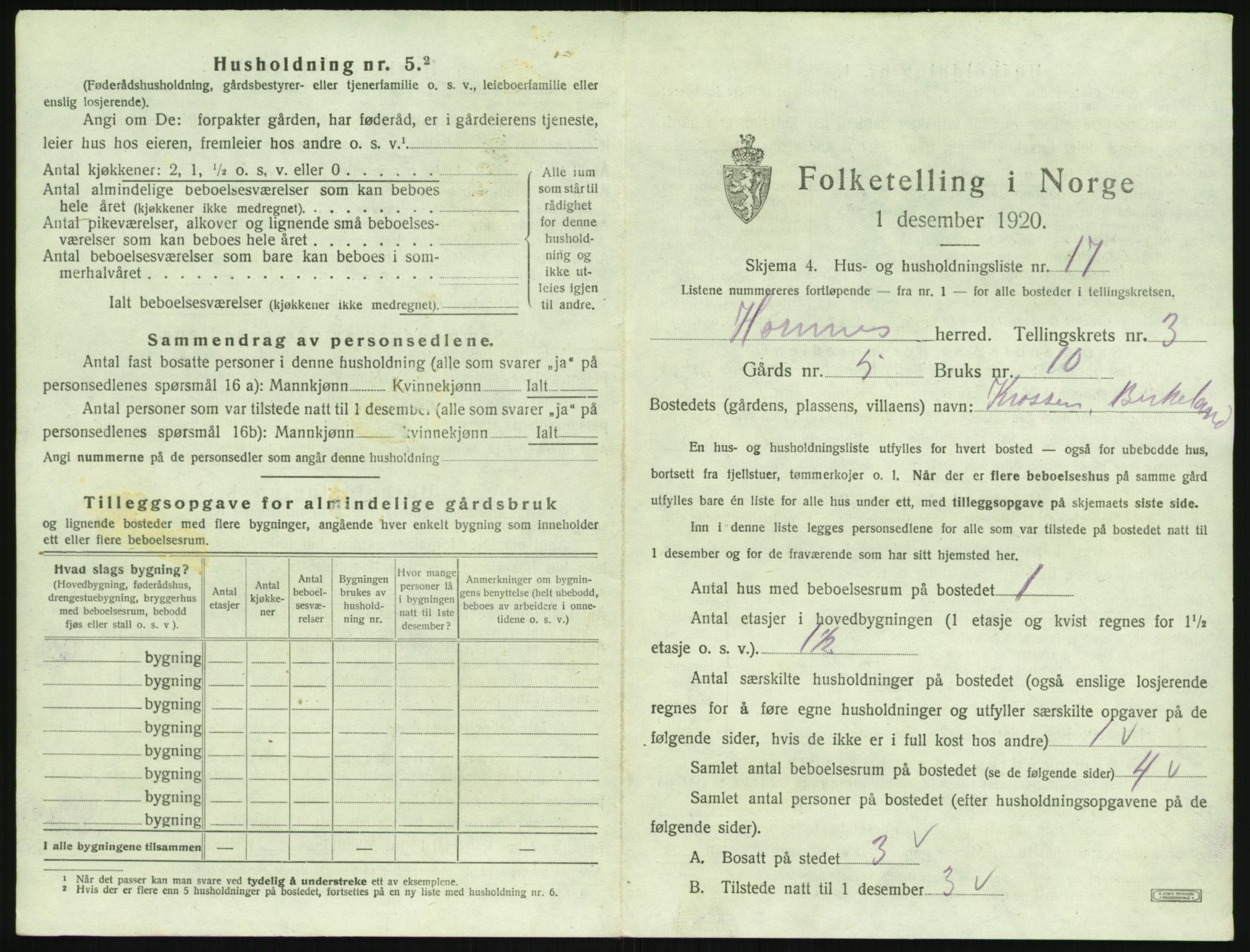 SAK, 1920 census for Hornnes, 1920, p. 149