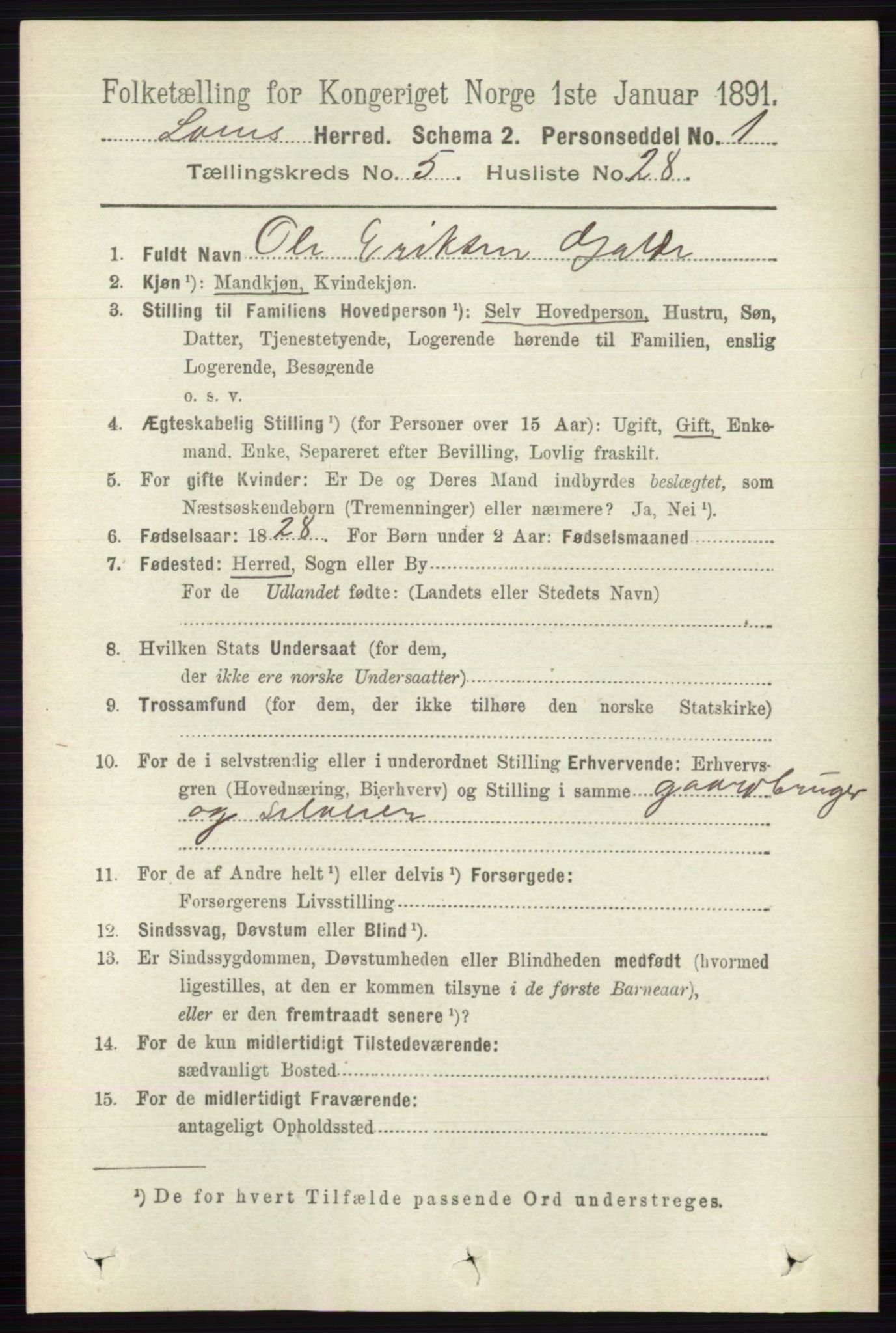 RA, 1891 census for 0514 Lom, 1891, p. 2017