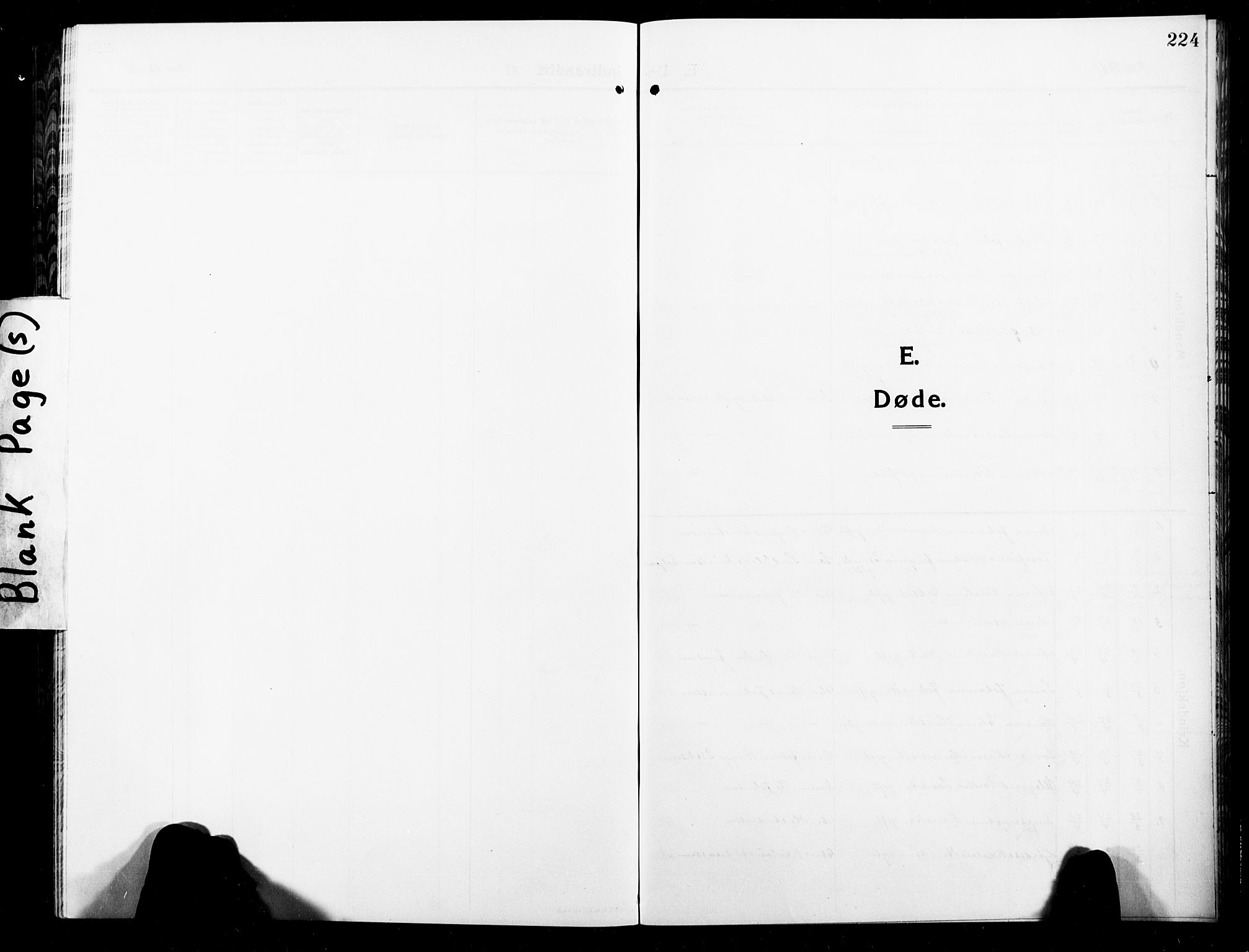 Ministerialprotokoller, klokkerbøker og fødselsregistre - Nordland, SAT/A-1459/859/L0861: Parish register (copy) no. 859C07, 1910-1925, p. 224