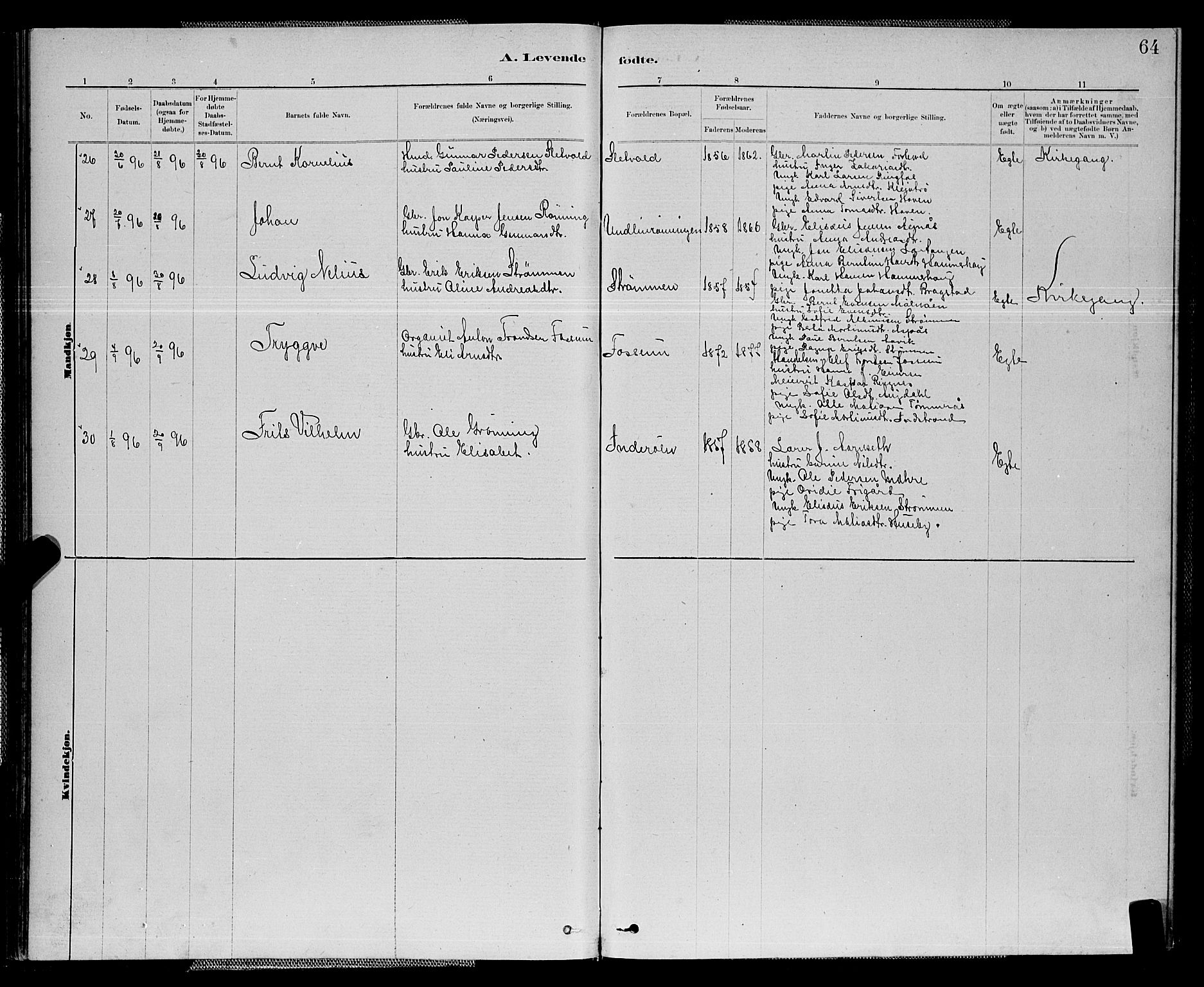 Ministerialprotokoller, klokkerbøker og fødselsregistre - Nord-Trøndelag, SAT/A-1458/714/L0134: Parish register (copy) no. 714C03, 1878-1898, p. 64