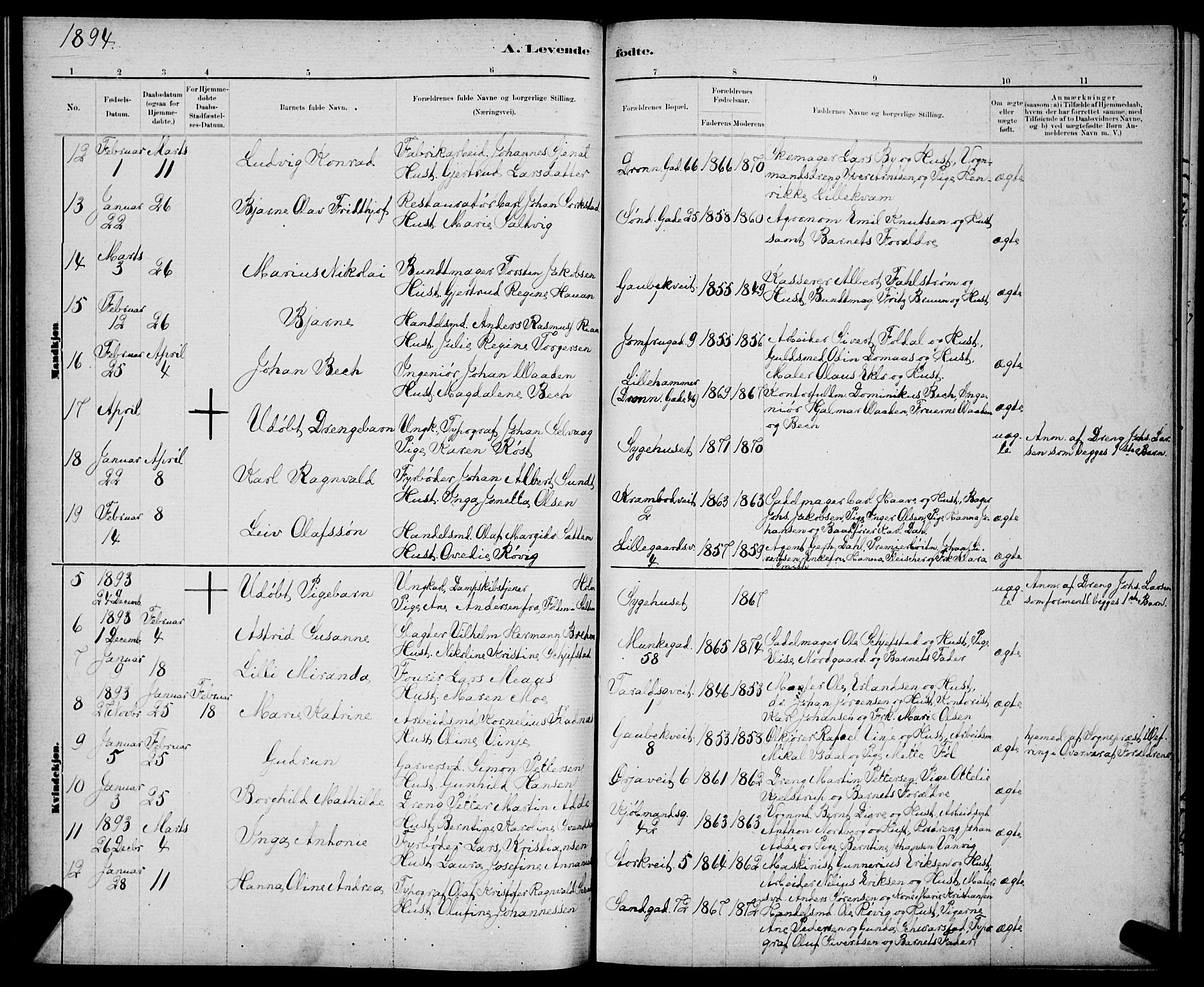 Ministerialprotokoller, klokkerbøker og fødselsregistre - Sør-Trøndelag, AV/SAT-A-1456/602/L0143: Parish register (copy) no. 602C11, 1878-1902