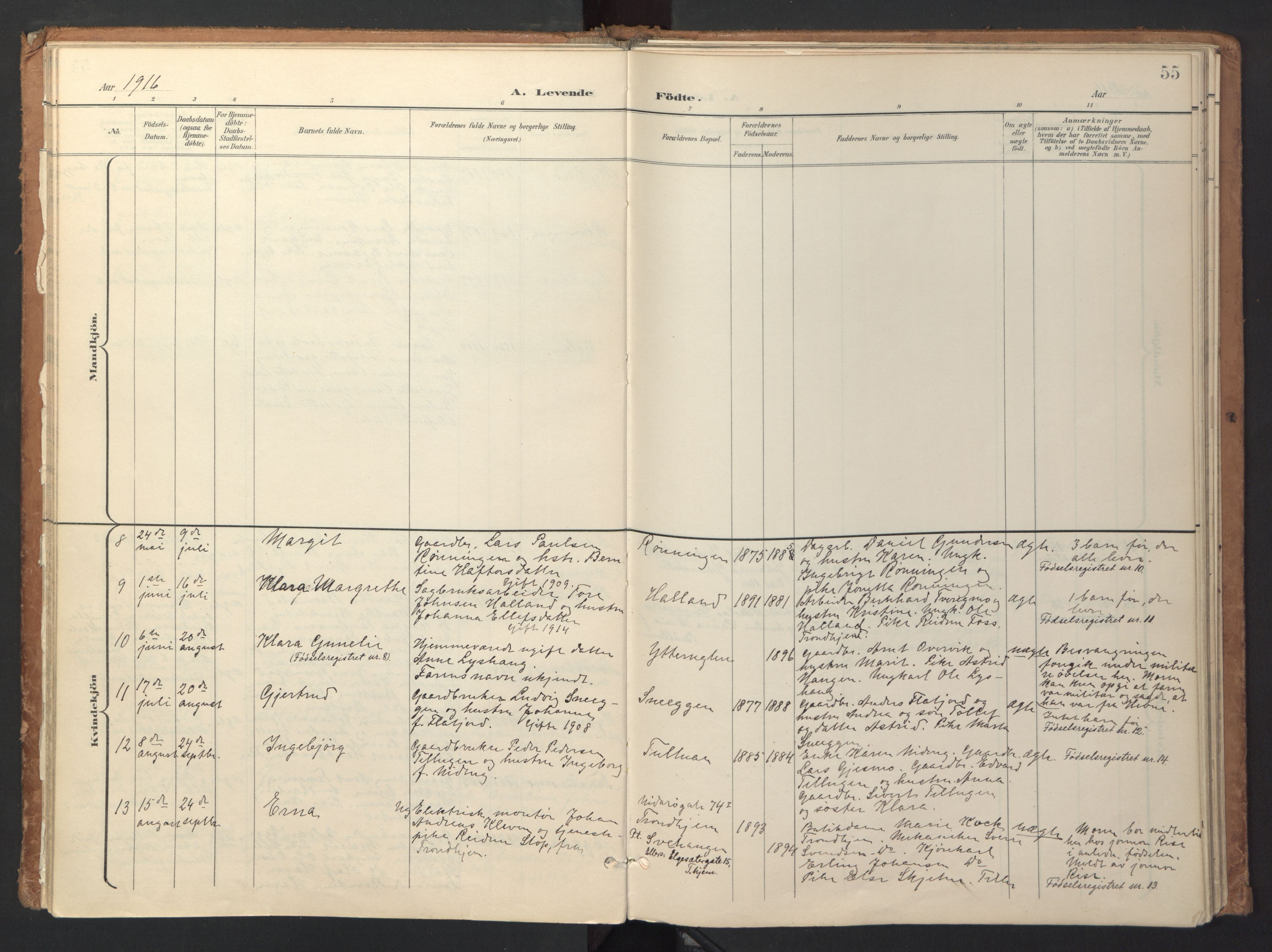 Ministerialprotokoller, klokkerbøker og fødselsregistre - Sør-Trøndelag, AV/SAT-A-1456/618/L0448: Parish register (official) no. 618A11, 1898-1916, p. 55