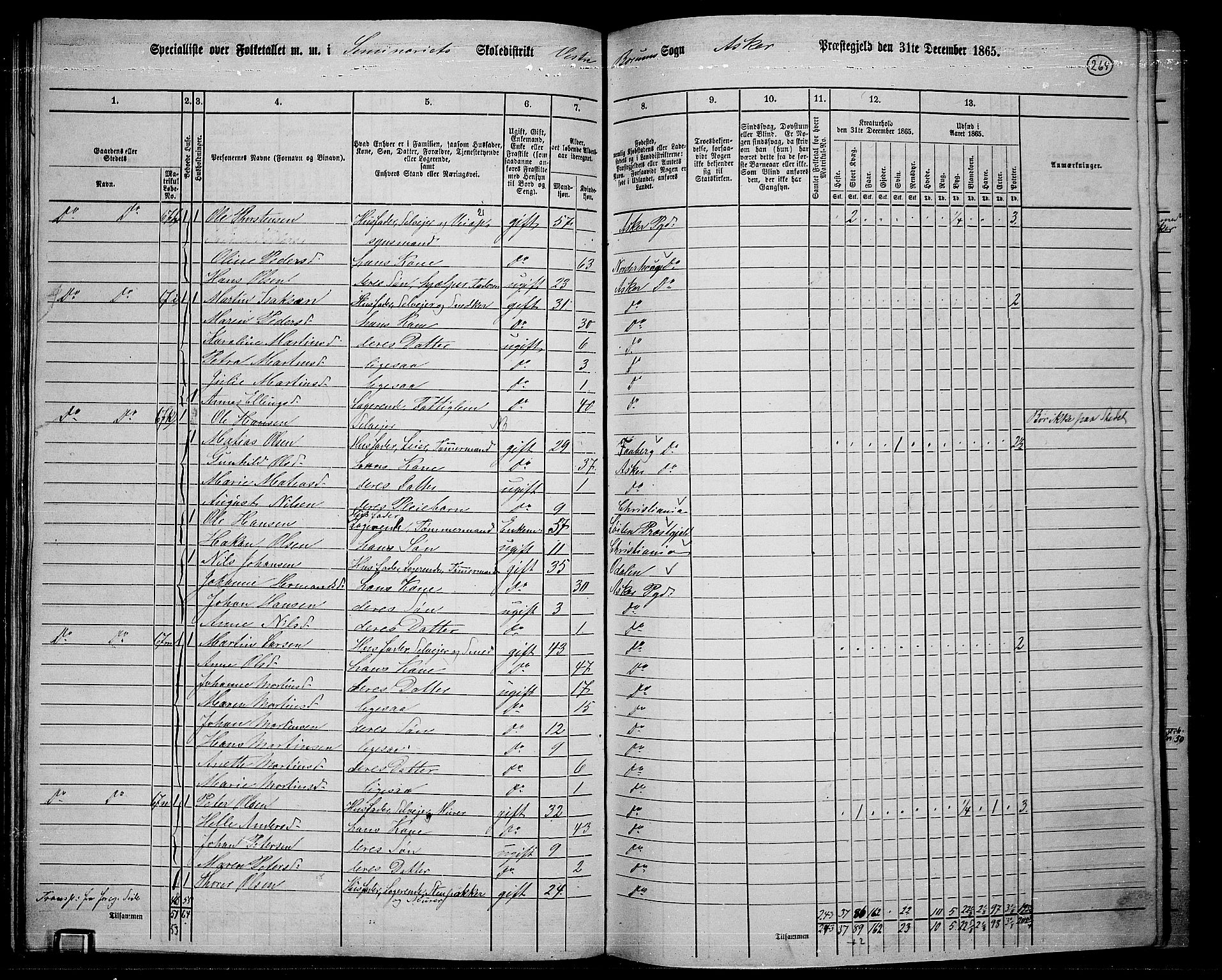 RA, 1865 census for Asker, 1865, p. 252