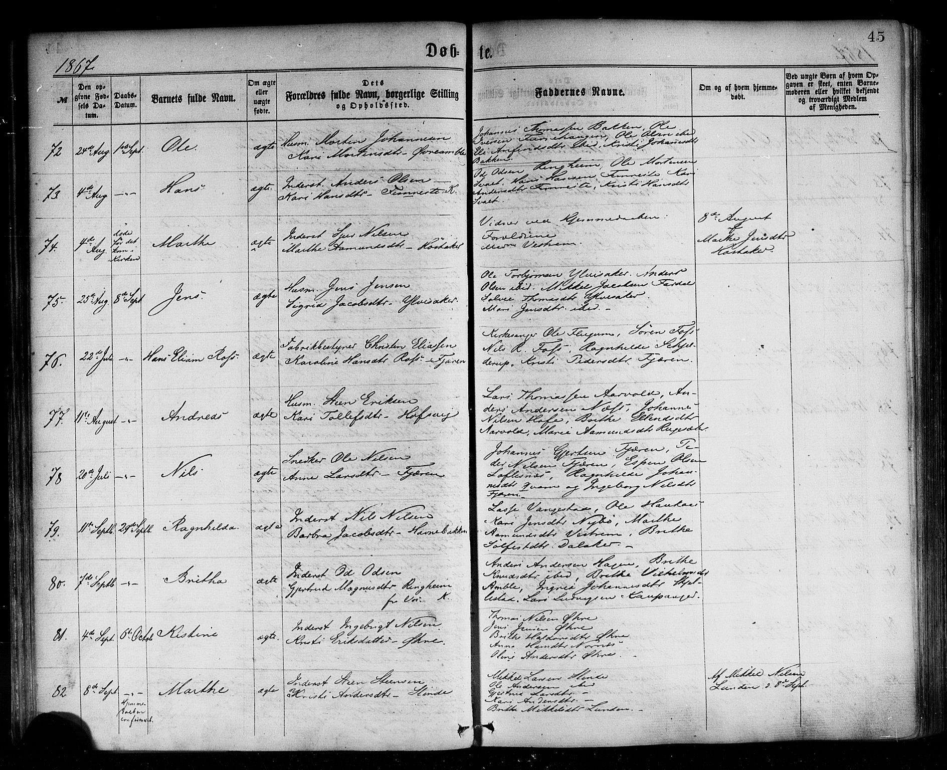 Sogndal sokneprestembete, SAB/A-81301/H/Haa/Haaa/L0014: Parish register (official) no. A 14, 1864-1877, p. 45