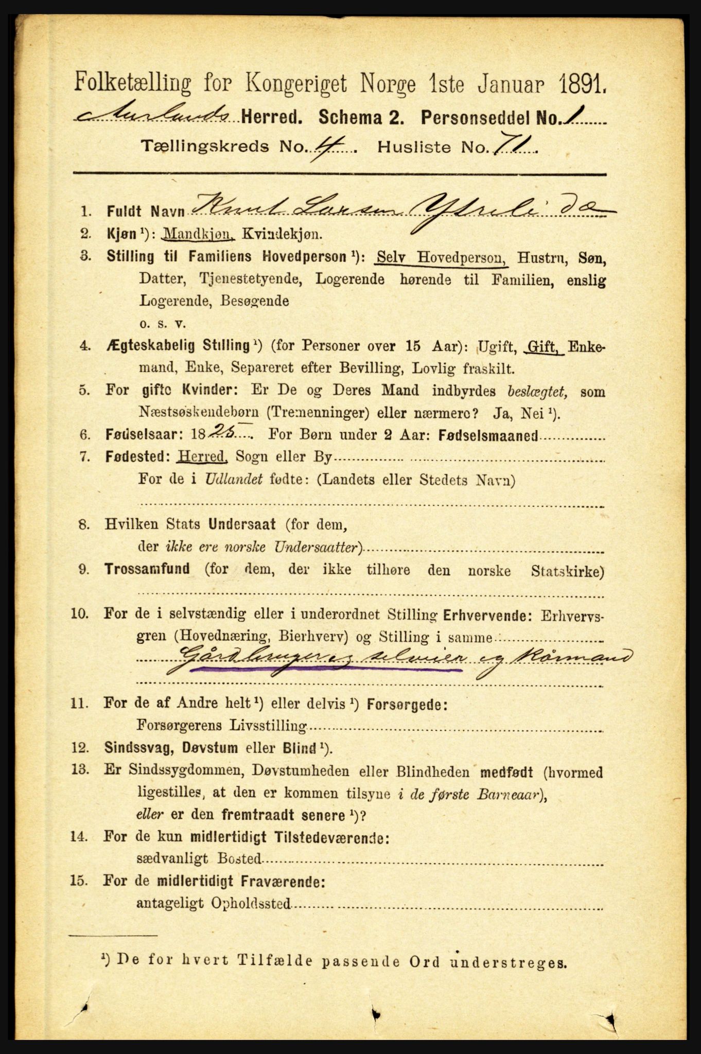 RA, 1891 census for 1421 Aurland, 1891, p. 1702