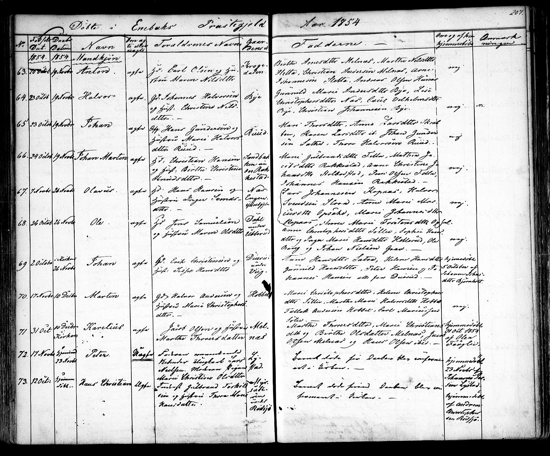 Enebakk prestekontor Kirkebøker, AV/SAO-A-10171c/F/Fa/L0009: Parish register (official) no. I 9, 1832-1861, p. 207