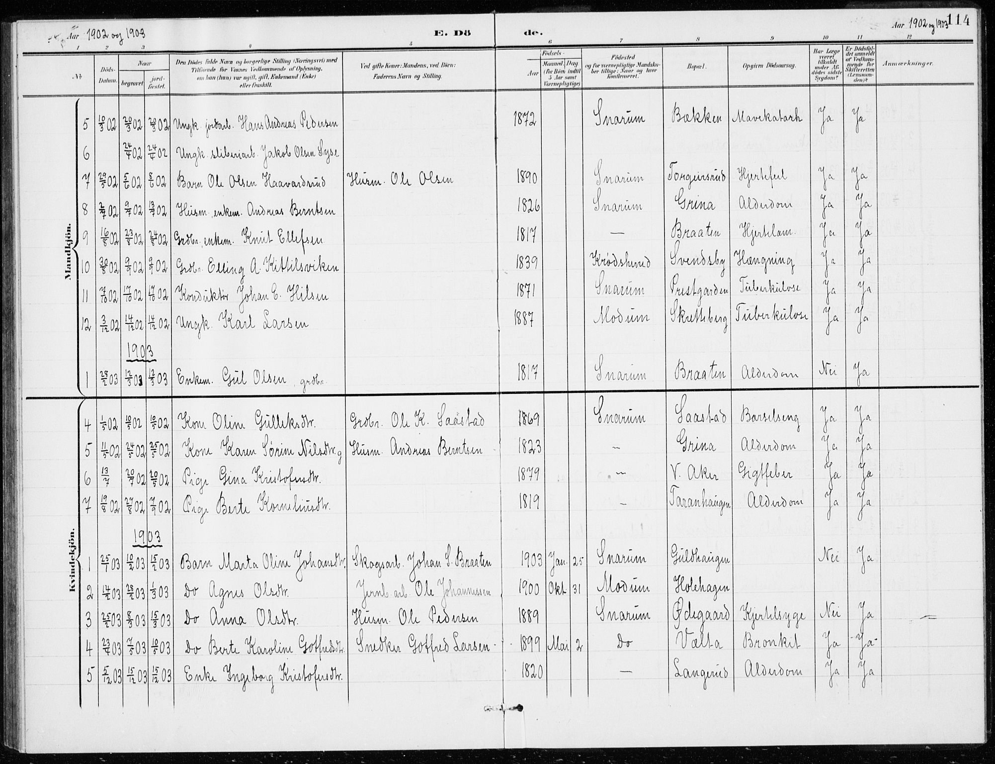 Modum kirkebøker, AV/SAKO-A-234/G/Gd/L0001: Parish register (copy) no. IV 1, 1901-1921, p. 114