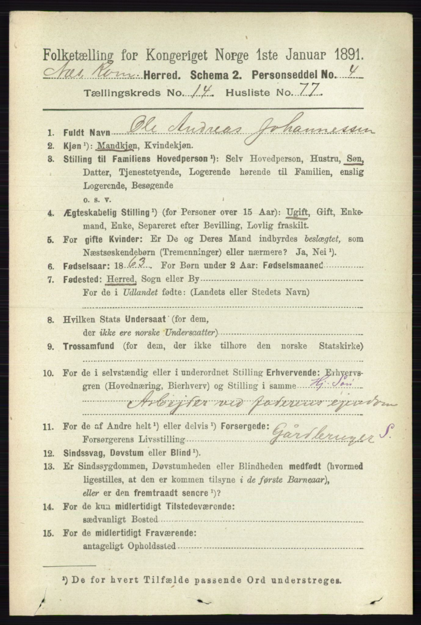 RA, 1891 census for 0236 Nes, 1891, p. 8911