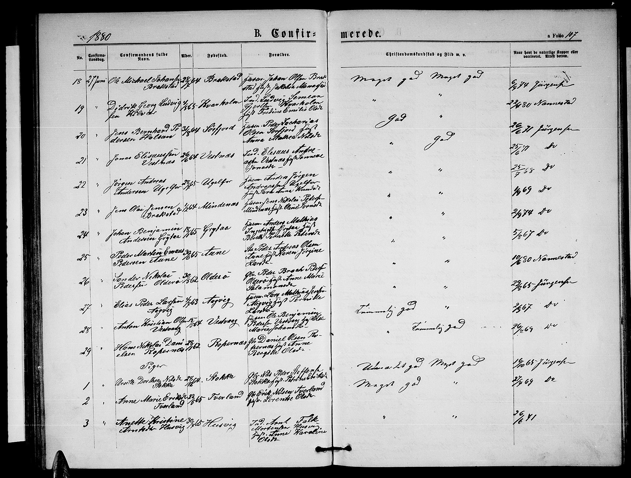 Ministerialprotokoller, klokkerbøker og fødselsregistre - Nordland, AV/SAT-A-1459/817/L0267: Parish register (copy) no. 817C02, 1870-1883, p. 107