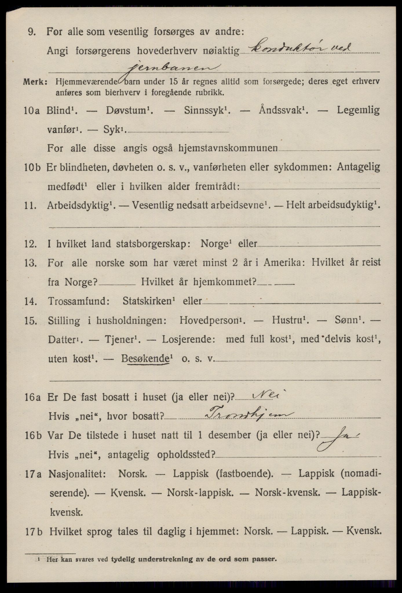 SAT, 1920 census for Støren, 1920, p. 699