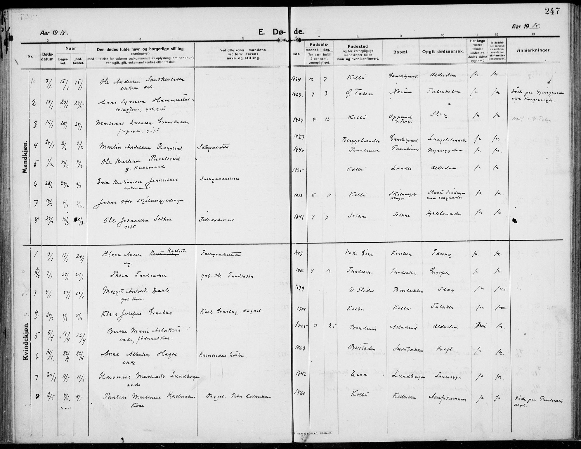 Kolbu prestekontor, SAH/PREST-110/H/Ha/Haa/L0002: Parish register (official) no. 2, 1912-1926, p. 247