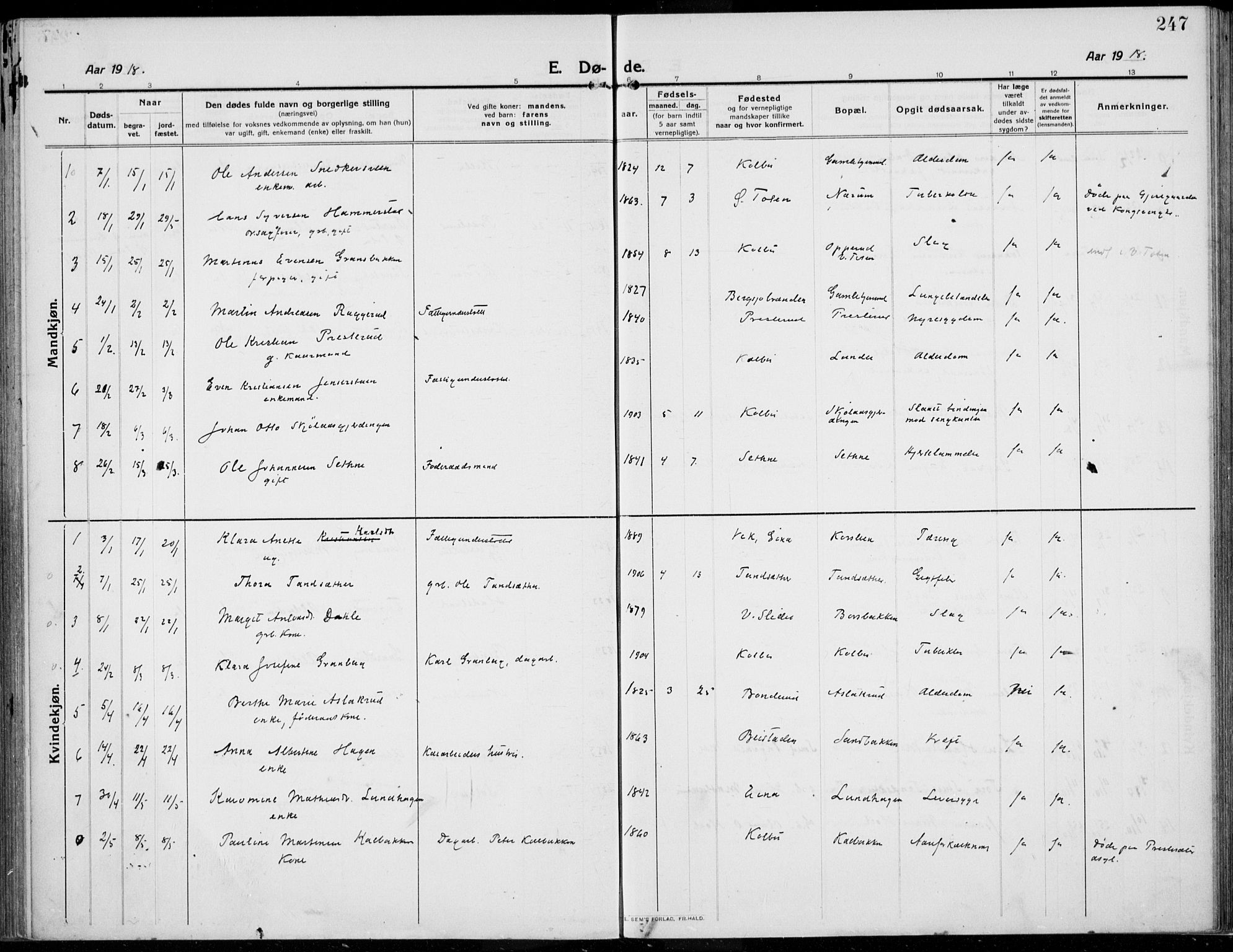 Kolbu prestekontor, AV/SAH-PREST-110/H/Ha/Haa/L0002: Parish register (official) no. 2, 1912-1926, p. 247