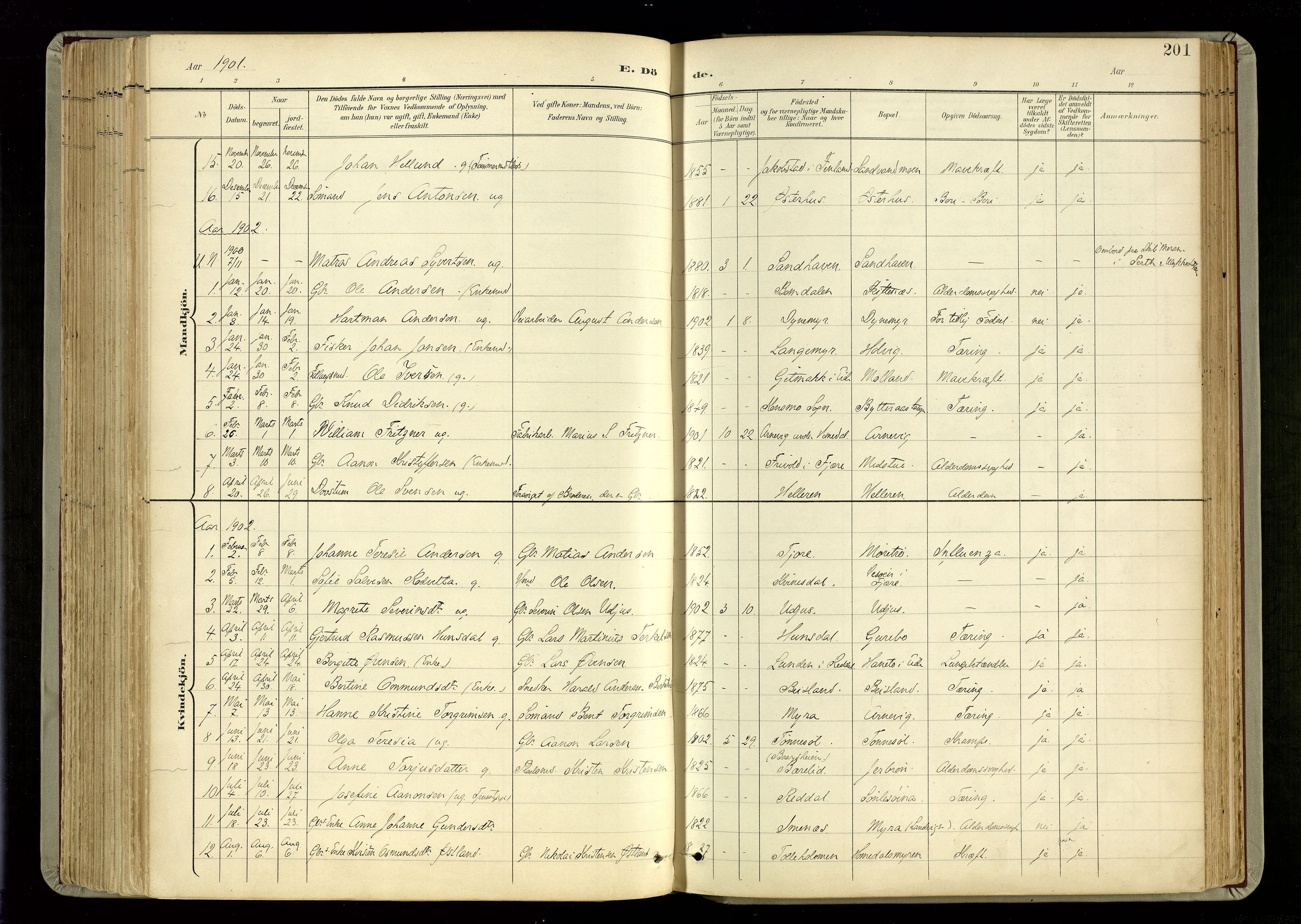 Hommedal sokneprestkontor, SAK/1111-0023/F/Fa/Fab/L0007: Parish register (official) no. A 7, 1898-1924, p. 201