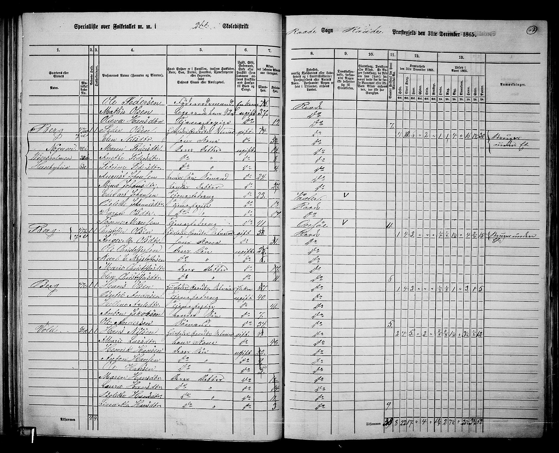 RA, 1865 census for Råde, 1865, p. 61