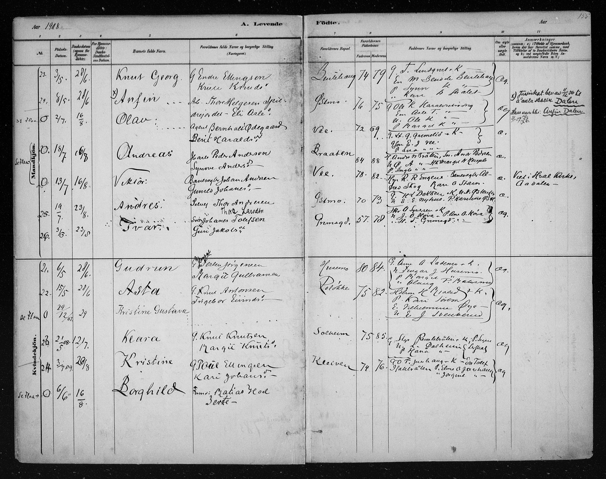 Nes kirkebøker, SAKO/A-236/F/Fa/L0011: Parish register (official) no. 11, 1881-1912, p. 155