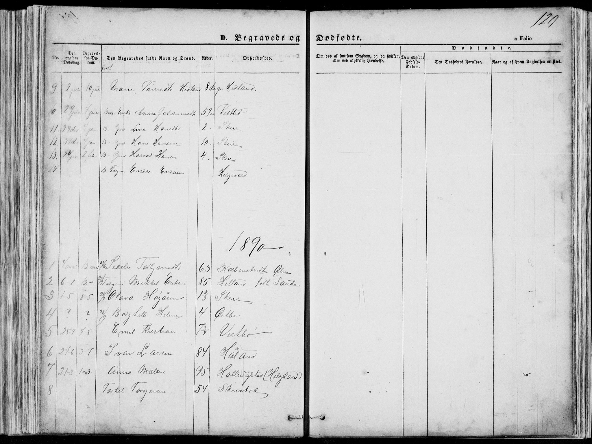 Vikedal sokneprestkontor, AV/SAST-A-101840/01/V: Parish register (copy) no. B 10, 1864-1926, p. 120