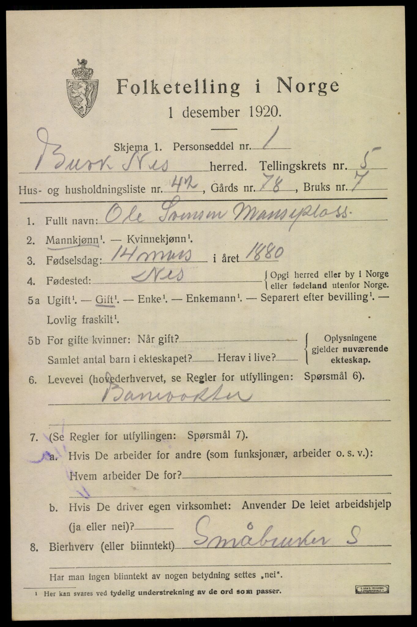 SAKO, 1920 census for Nes (Buskerud), 1920, p. 2874