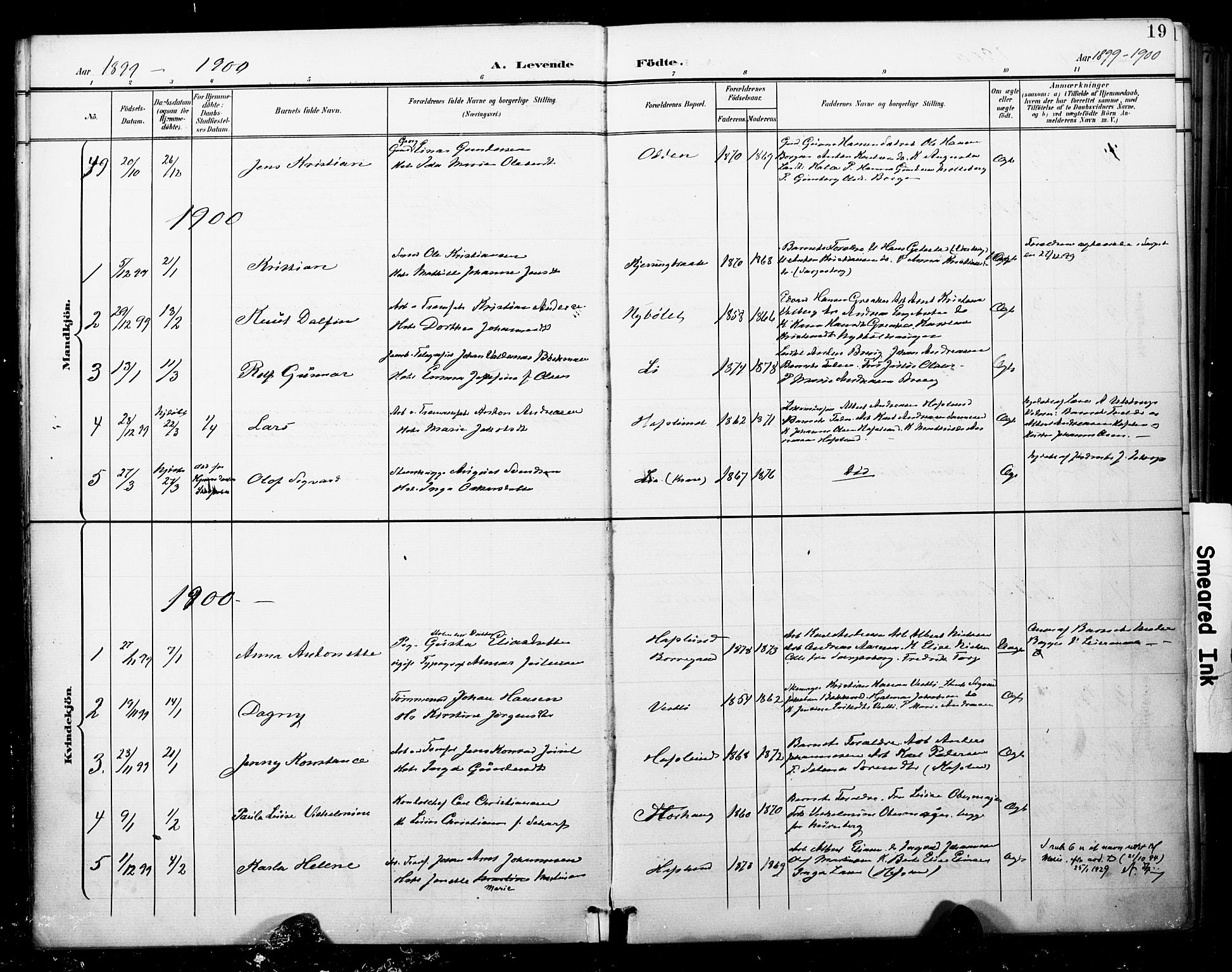 Skjeberg prestekontor Kirkebøker, SAO/A-10923/F/Fa/L0010: Parish register (official) no. I 10, 1898-1911, p. 19