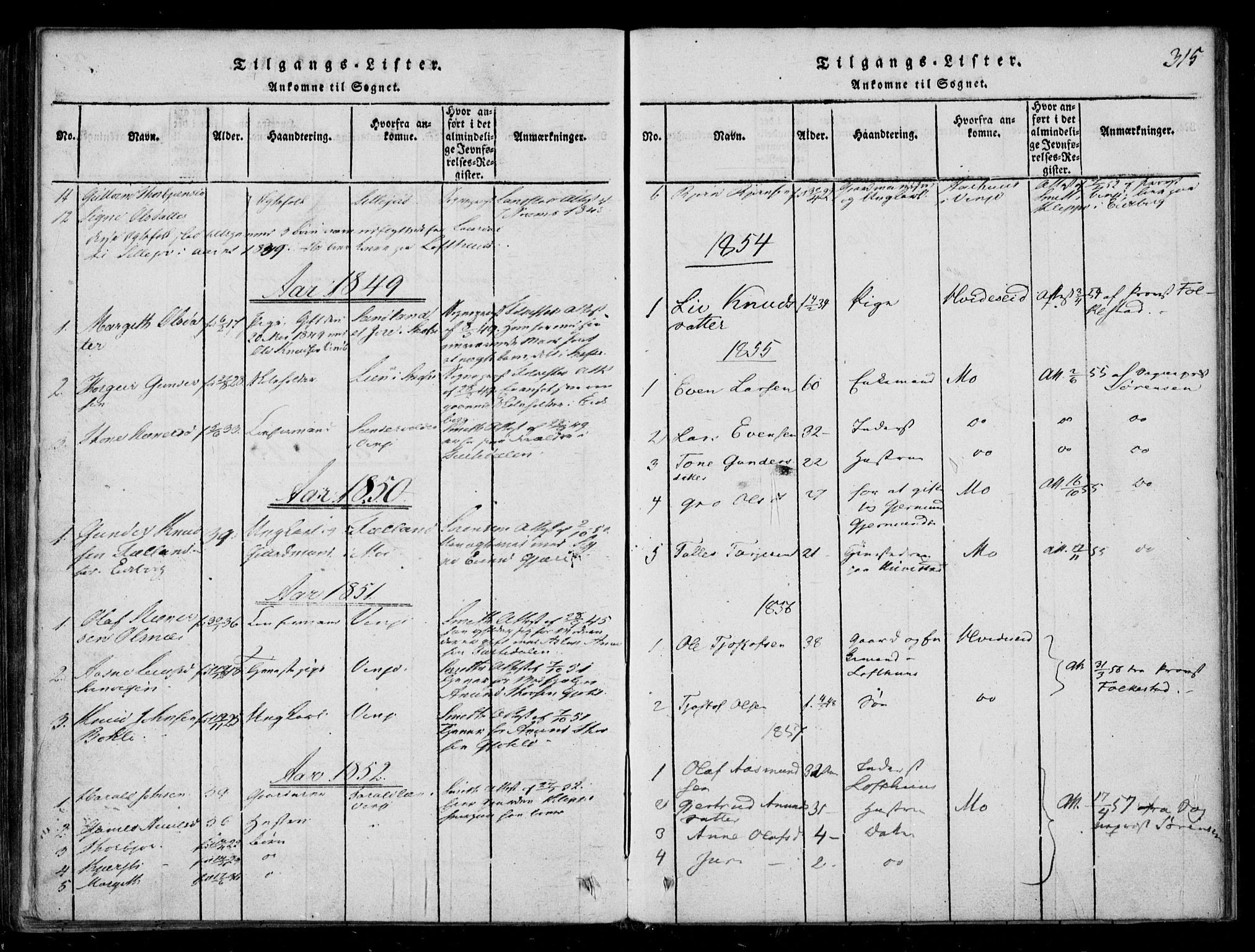 Lårdal kirkebøker, SAKO/A-284/F/Fb/L0001: Parish register (official) no. II 1, 1815-1860, p. 315