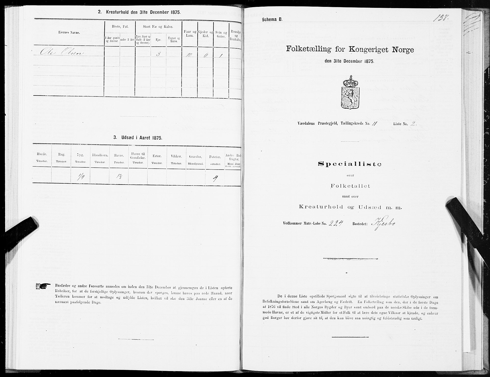 SAT, 1875 census for 1721P Verdal, 1875, p. 6138