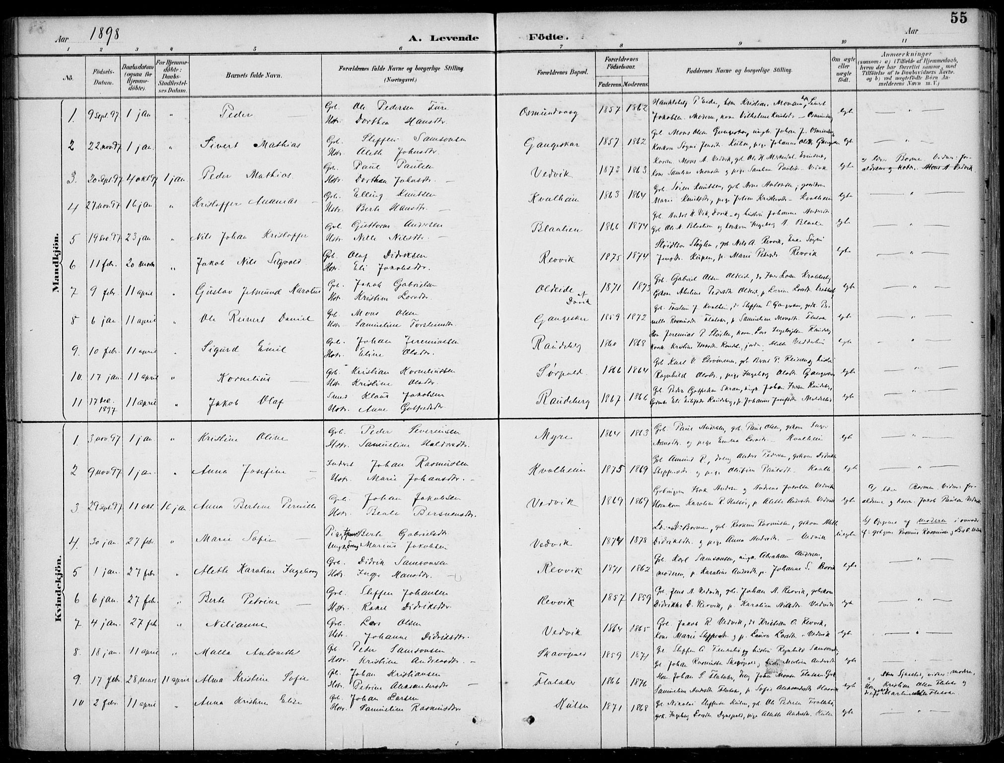 Selje sokneprestembete, AV/SAB-A-99938/H/Ha/Haa/Haac/L0002: Parish register (official) no. C  2, 1889-1904, p. 55