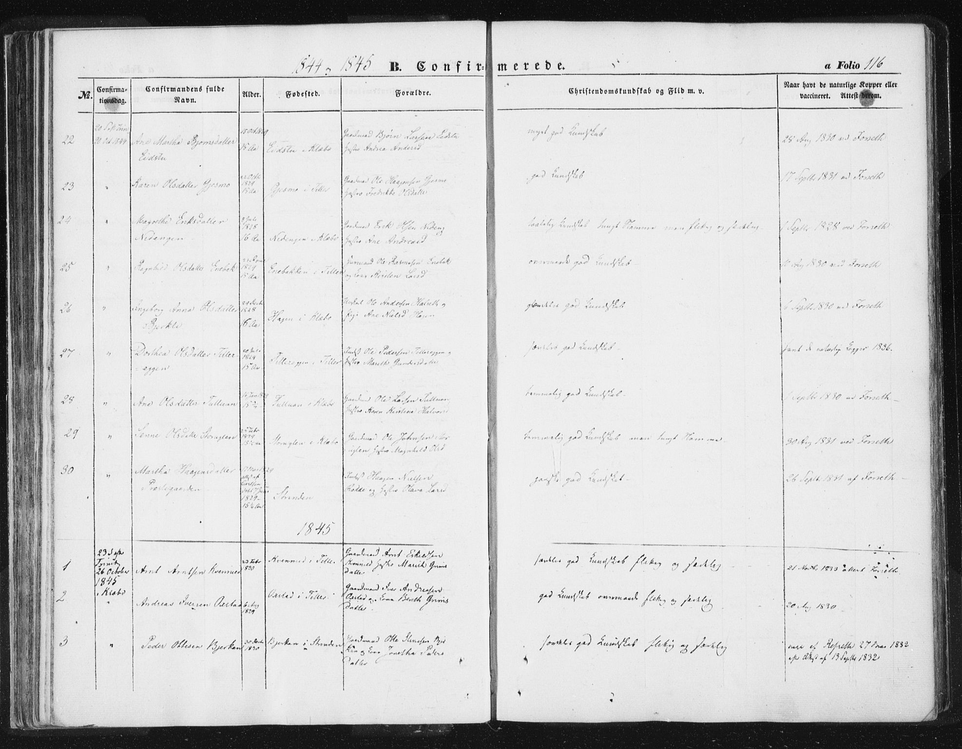 Ministerialprotokoller, klokkerbøker og fødselsregistre - Sør-Trøndelag, SAT/A-1456/618/L0441: Parish register (official) no. 618A05, 1843-1862, p. 116