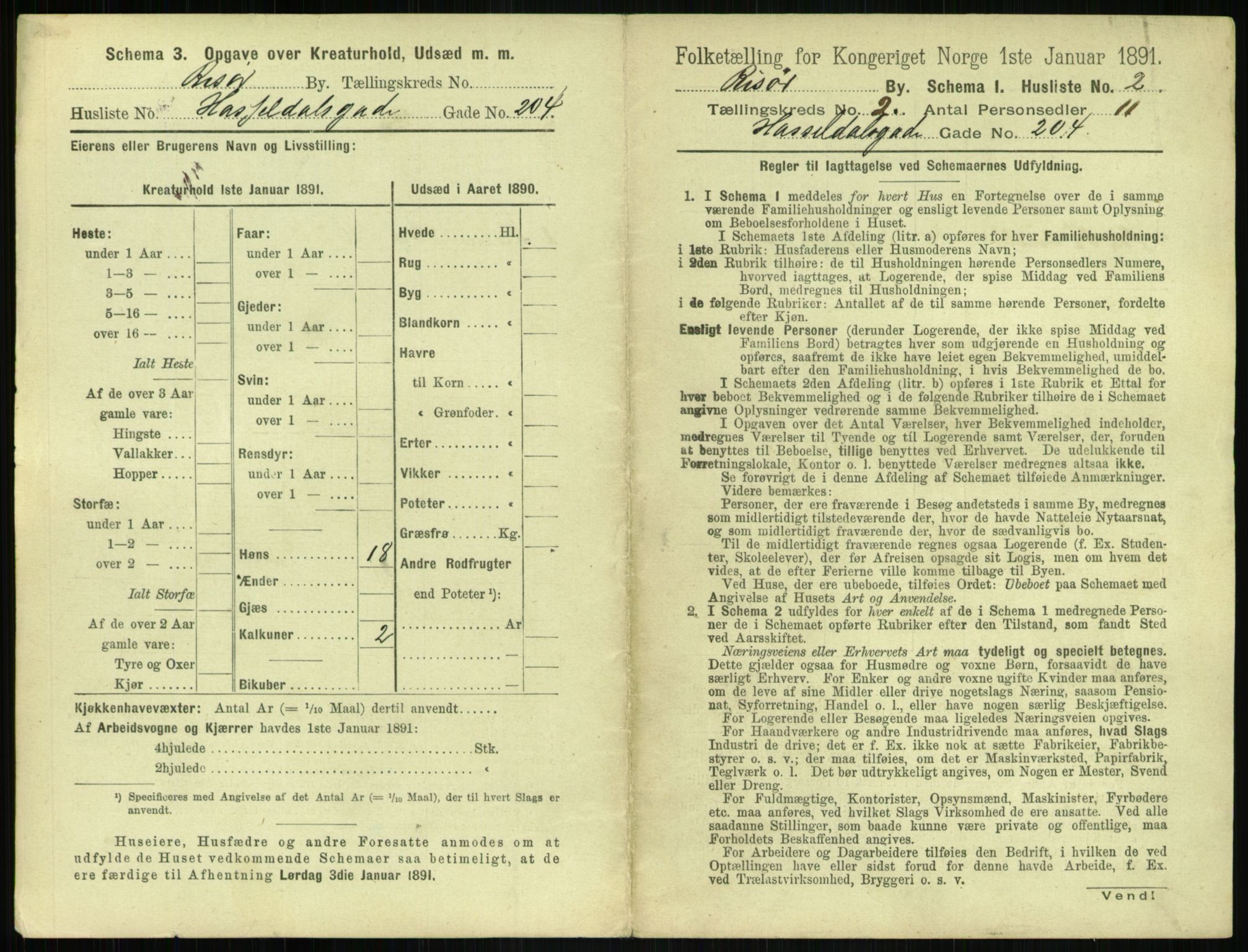 RA, 1891 census for 0901 Risør, 1891, p. 313