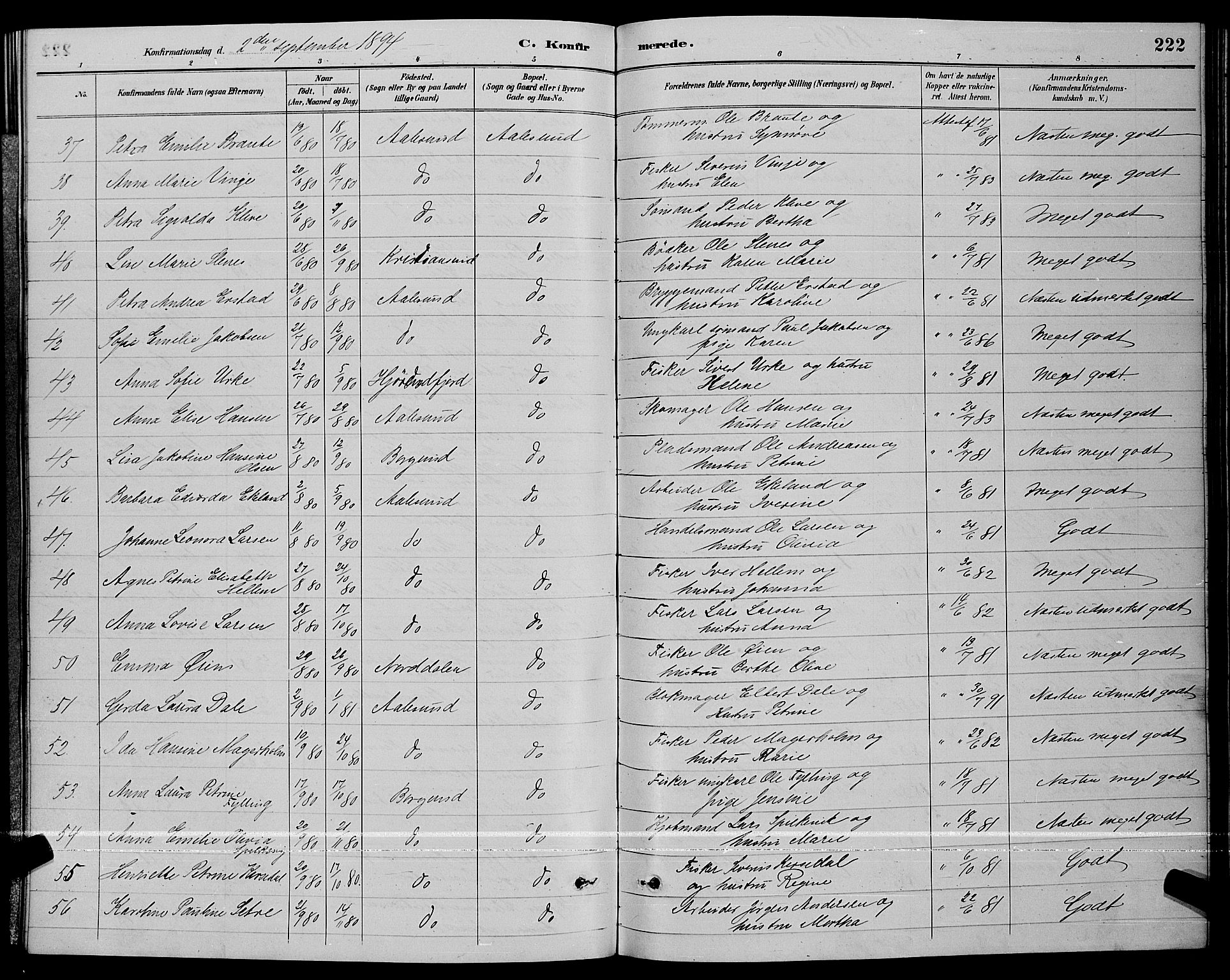 Ministerialprotokoller, klokkerbøker og fødselsregistre - Møre og Romsdal, AV/SAT-A-1454/529/L0467: Parish register (copy) no. 529C04, 1889-1897, p. 222