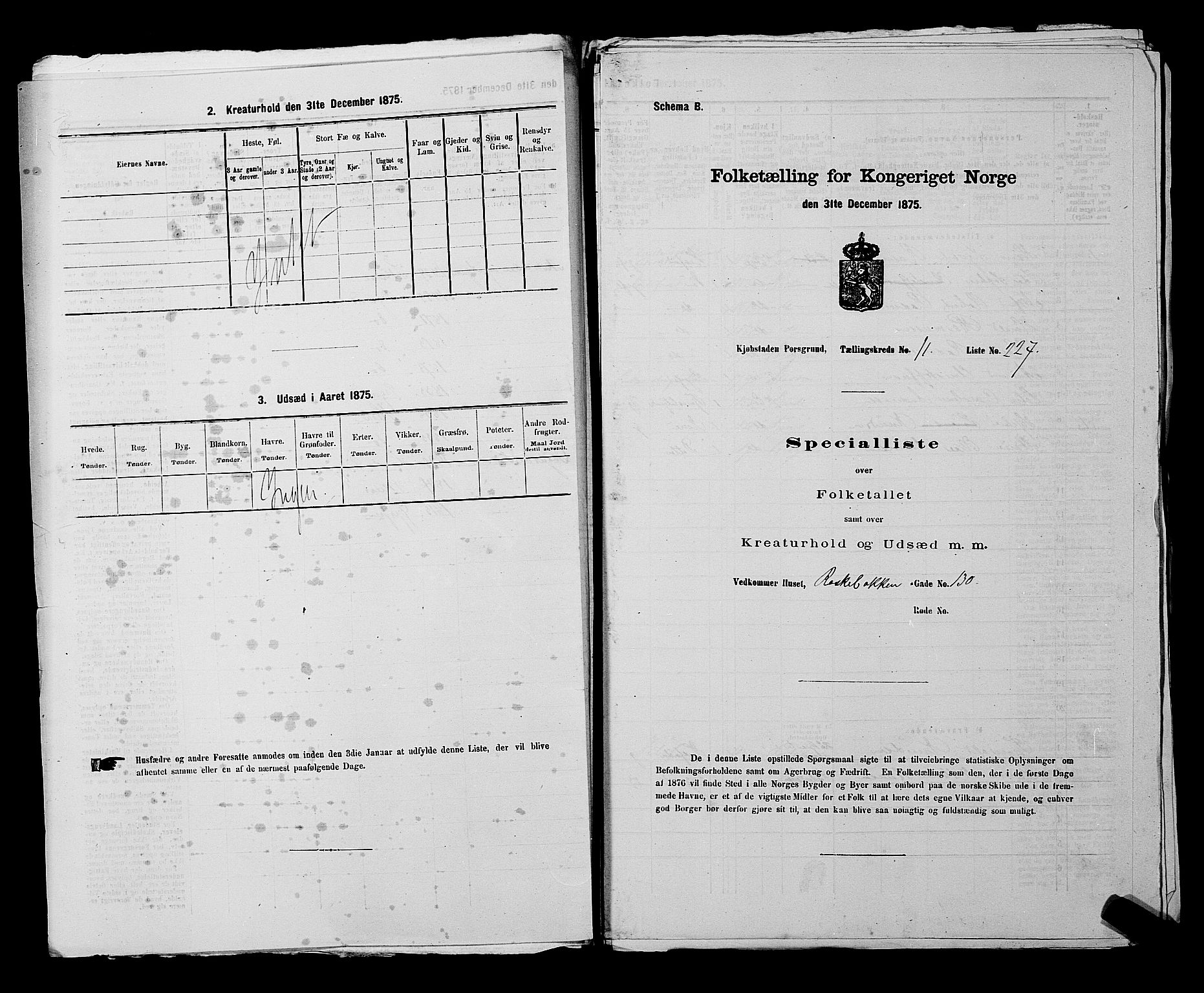 SAKO, 1875 census for 0805P Porsgrunn, 1875, p. 524