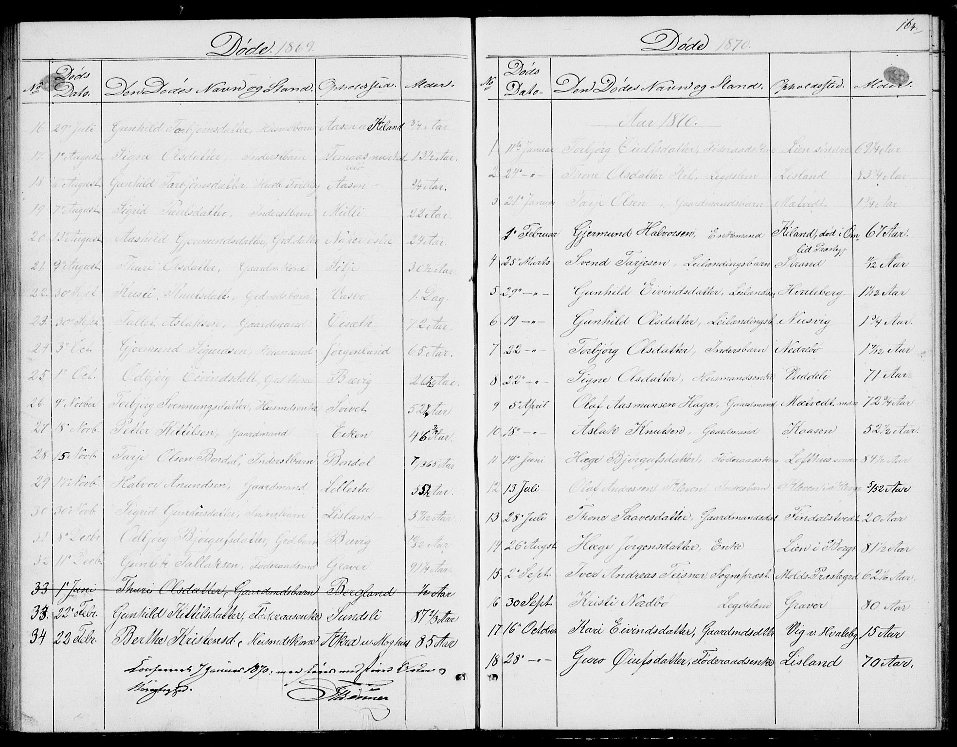 Fyresdal kirkebøker, SAKO/A-263/G/Ga/L0004: Parish register (copy) no. I 4, 1864-1892, p. 164