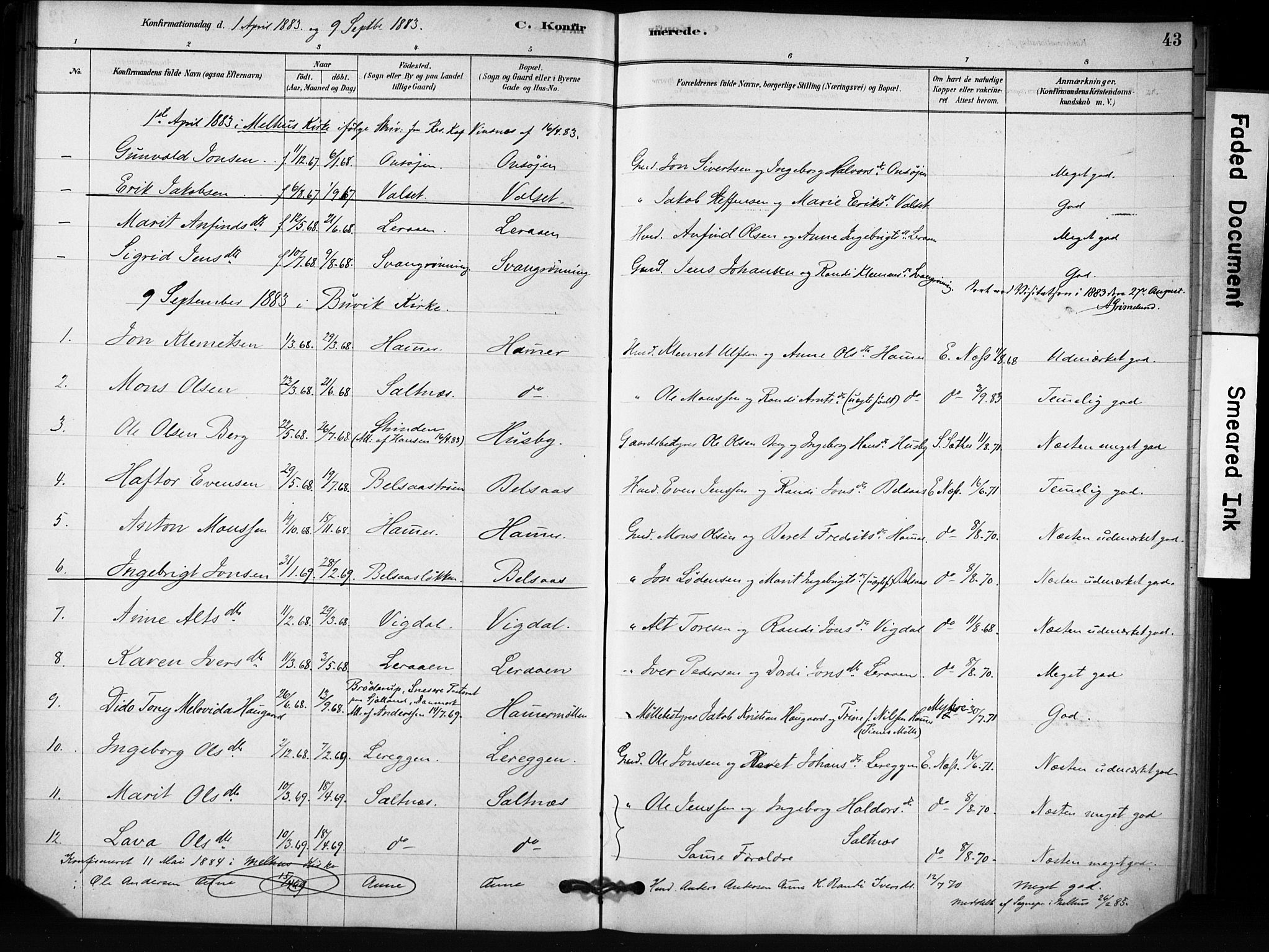 Ministerialprotokoller, klokkerbøker og fødselsregistre - Sør-Trøndelag, SAT/A-1456/666/L0786: Parish register (official) no. 666A04, 1878-1895, p. 43