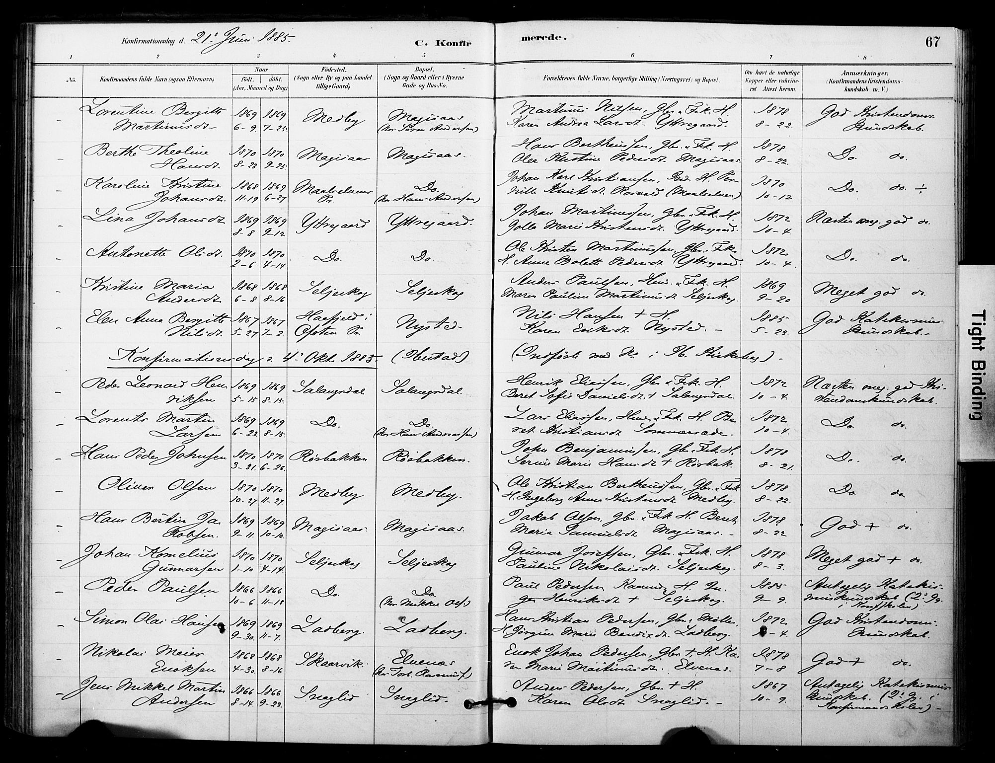 Ibestad sokneprestembete, AV/SATØ-S-0077/H/Ha/Haa/L0014kirke: Parish register (official) no. 14, 1880-1887, p. 67