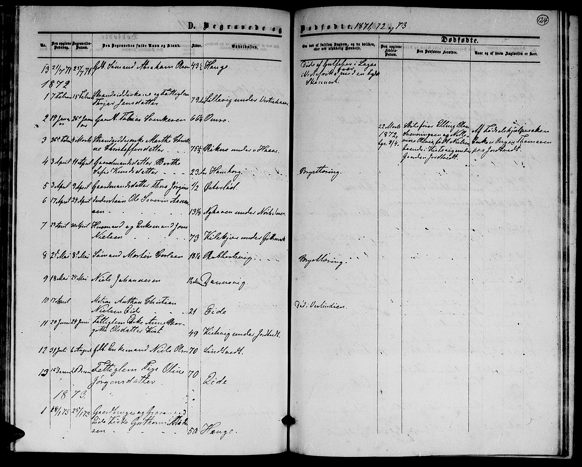 Hommedal sokneprestkontor, AV/SAK-1111-0023/F/Fb/Fba/L0003: Parish register (copy) no. B 3, 1863-1884, p. 124