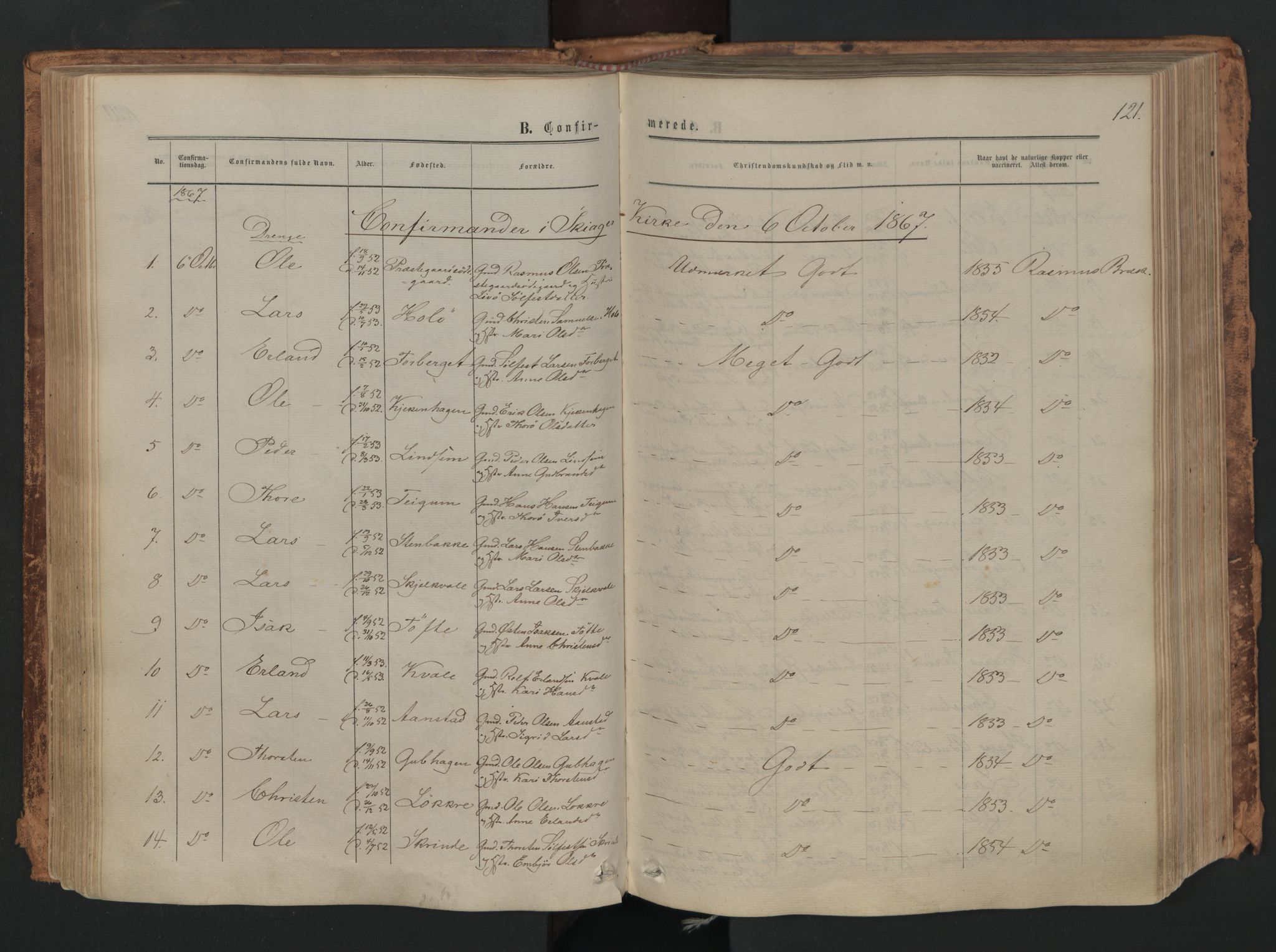 Skjåk prestekontor, SAH/PREST-072/H/Ha/Haa/L0001: Parish register (official) no. 1, 1863-1879, p. 121
