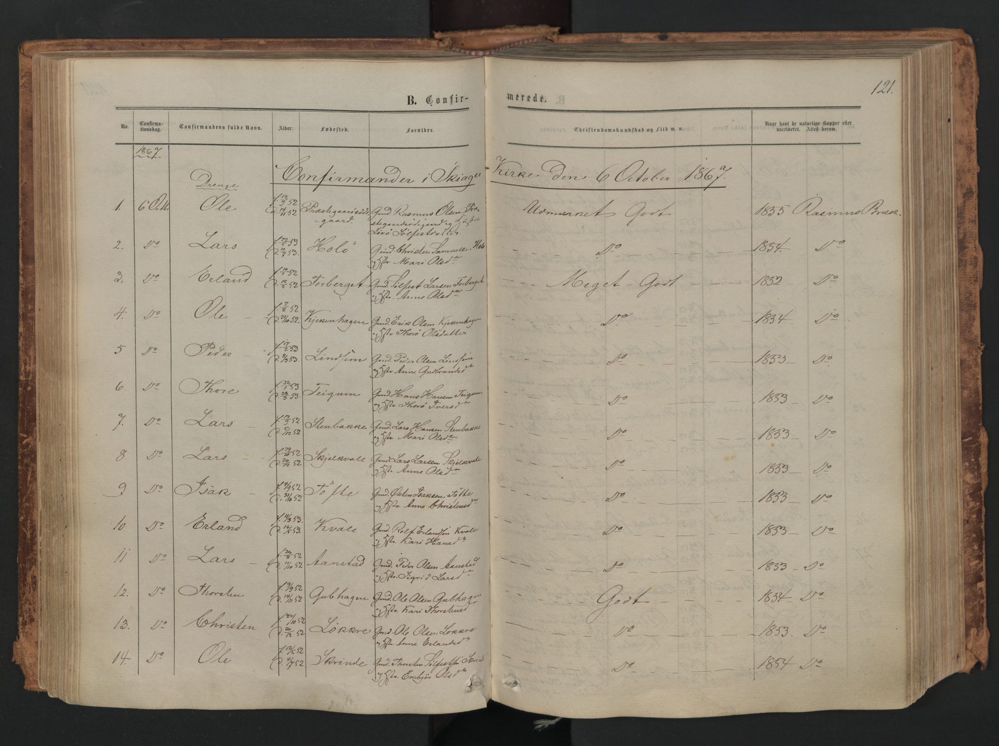 Skjåk prestekontor, AV/SAH-PREST-072/H/Ha/Haa/L0001: Parish register (official) no. 1, 1863-1879, p. 121